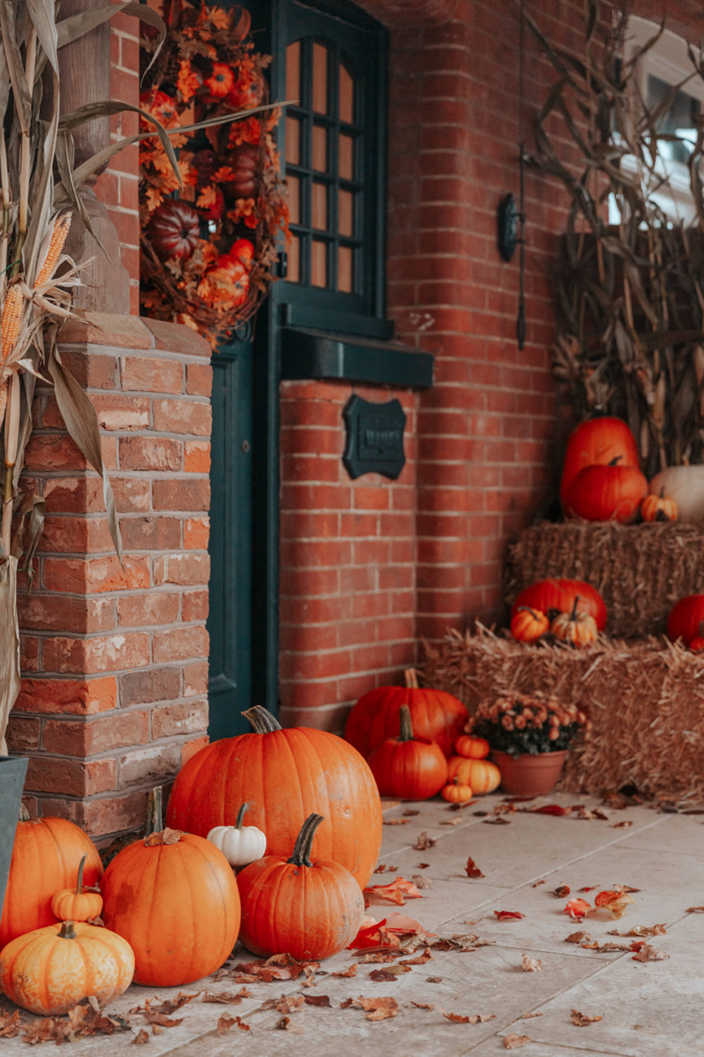 autumn porch, pumpkins, corn stalks, Full HD Phone Wallpaper
