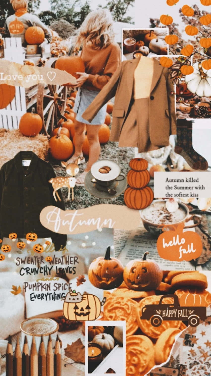 autumn, pumpkins, sweaters, HD Phone Wallpaper