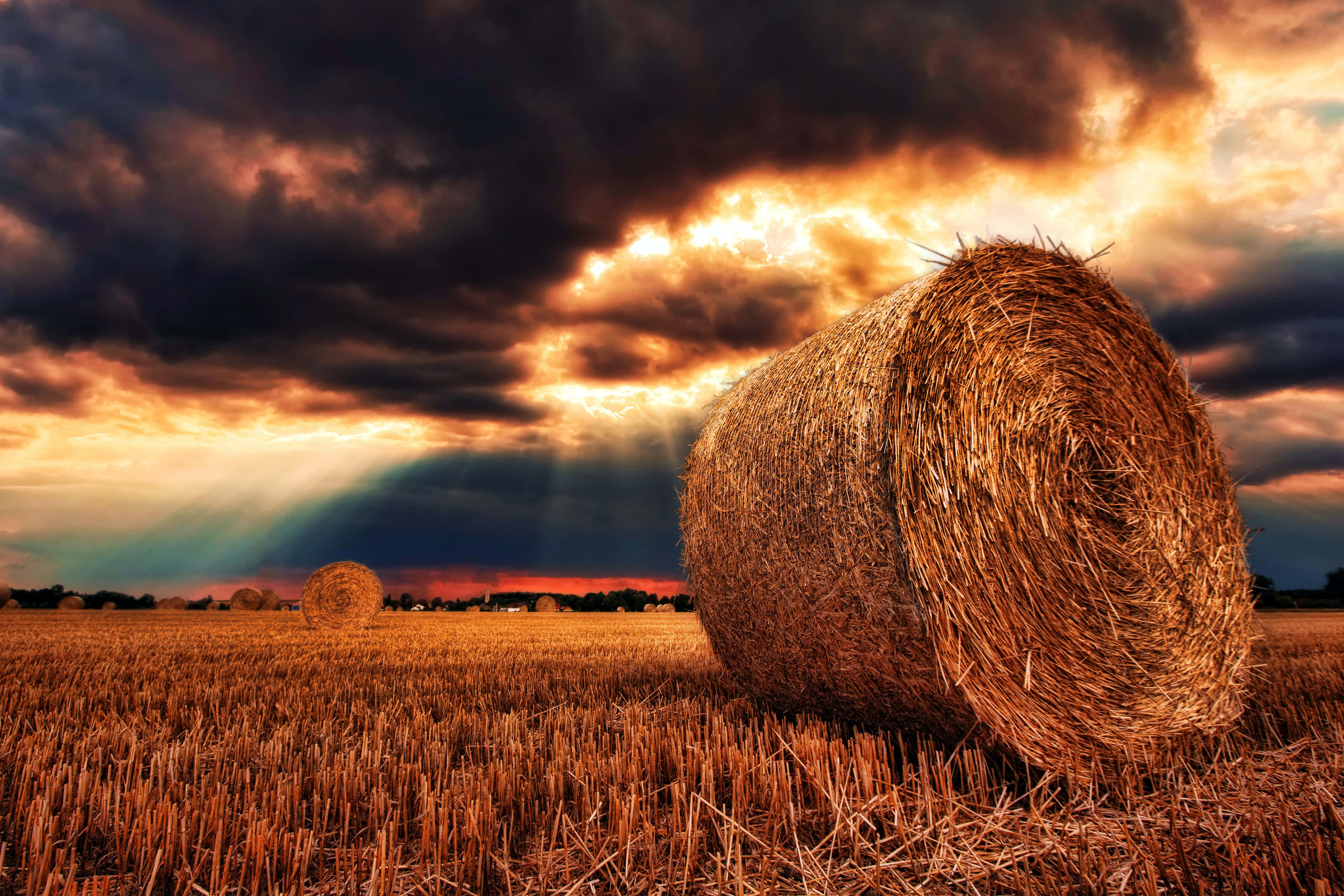 Fall Harvest, golden field, dramatic sunset, 4K Desktop Wallpaper