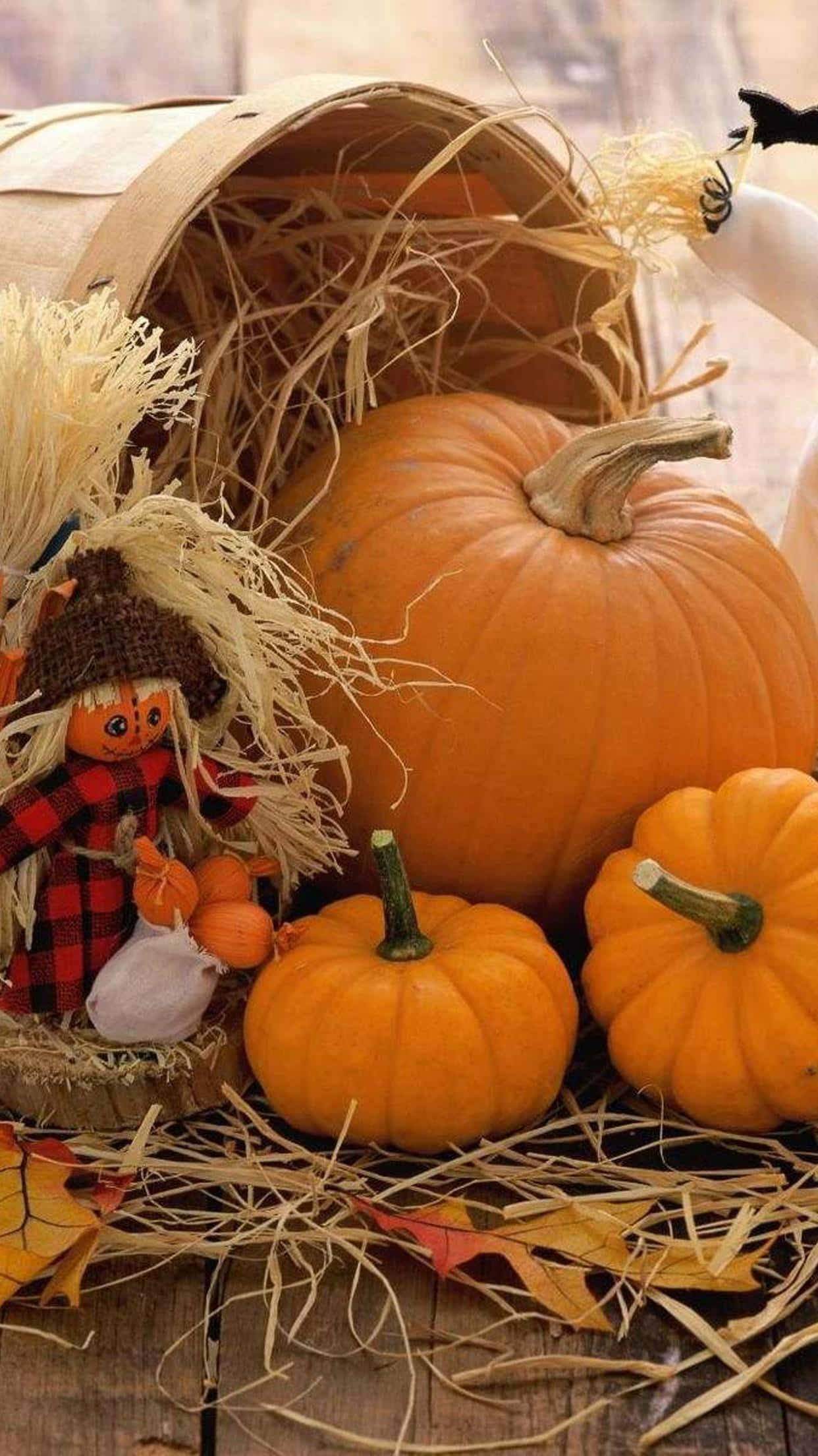 Fall Harvest, pumpkins, hay, Full HD Phone Wallpaper