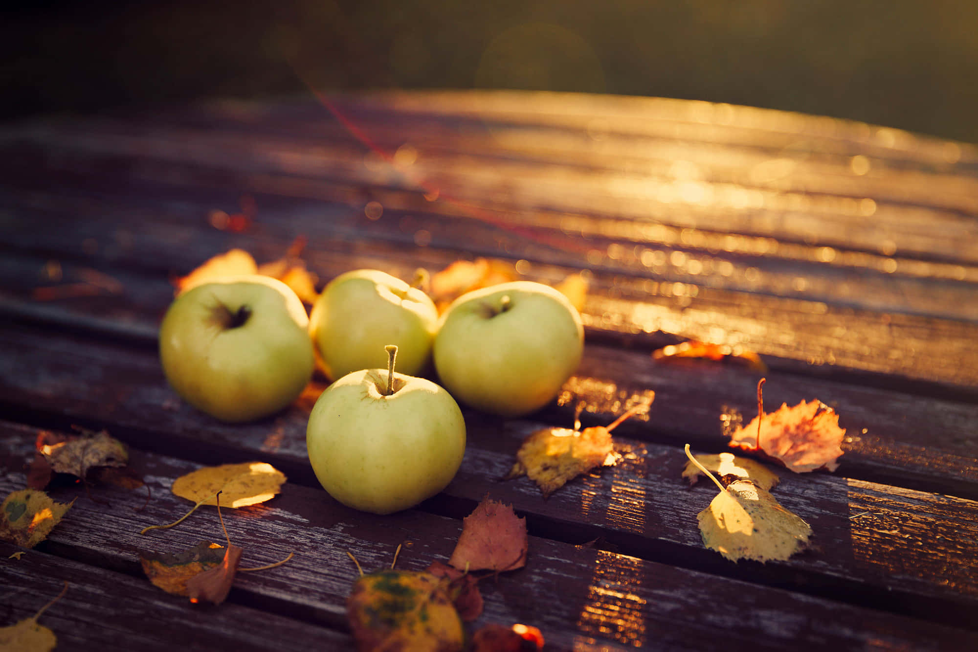 Fall Harvest, autumn leaves, weathered wooden table, Full HD Desktop Wallpaper