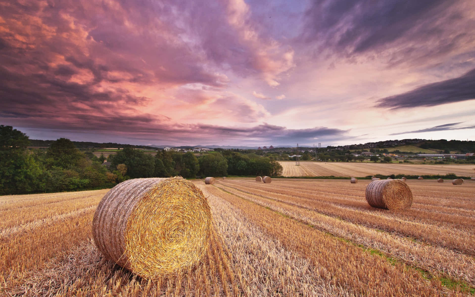 Fall Harvest, 1920 x 1200, golden hay bales, Full HD Desktop Wallpaper