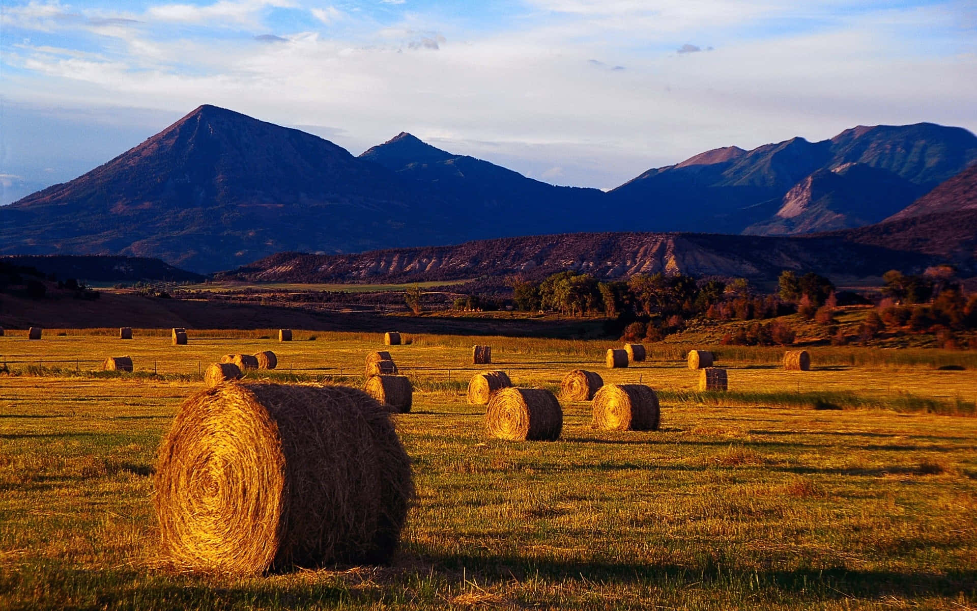 Fall Harvest, 1920 x 1200, golden hay bales, Full HD Desktop Wallpaper