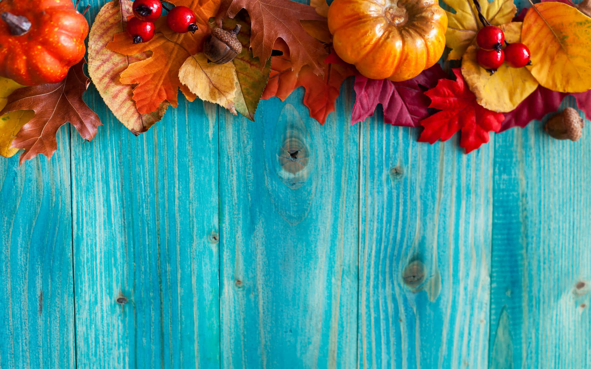 Fall Harvest, 1920 x 1200, turquoise wooden surface, Full HD Desktop Wallpaper