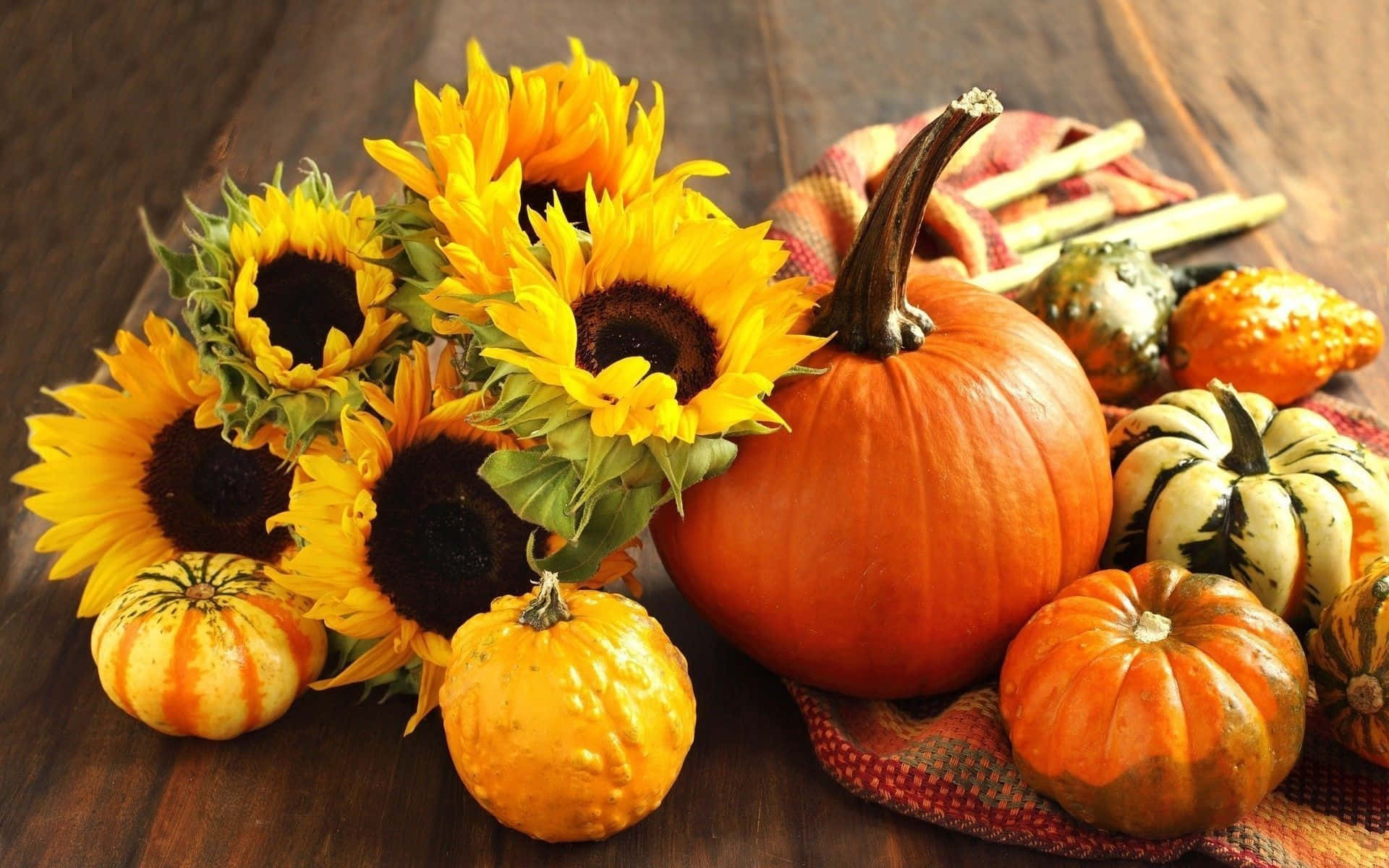 Fall Harvest, sunflowers, pumpkins, Full HD Desktop Wallpaper