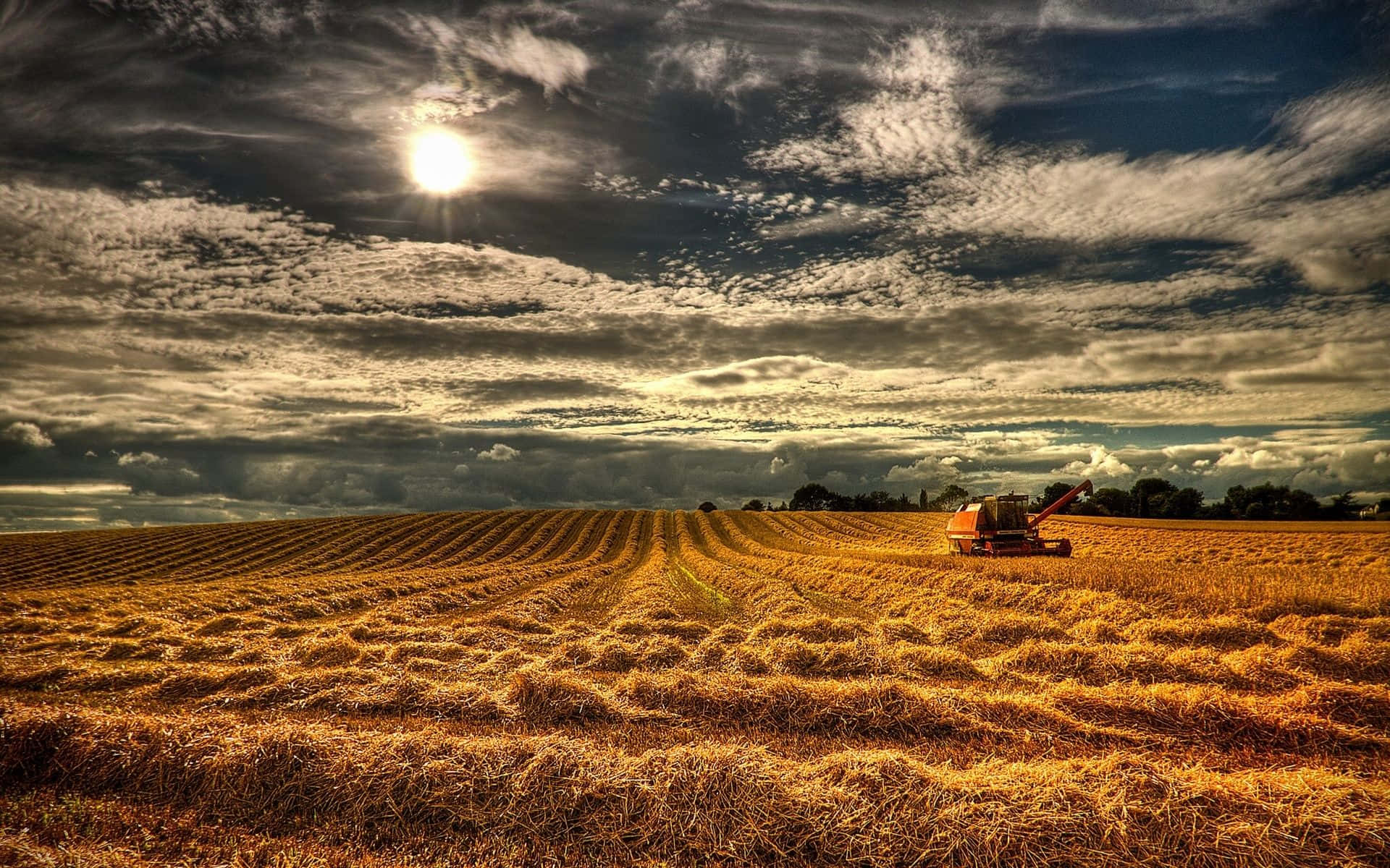 Fall Harvest, golden wheat field, dramatic sunlit sky, Full HD Desktop Wallpaper