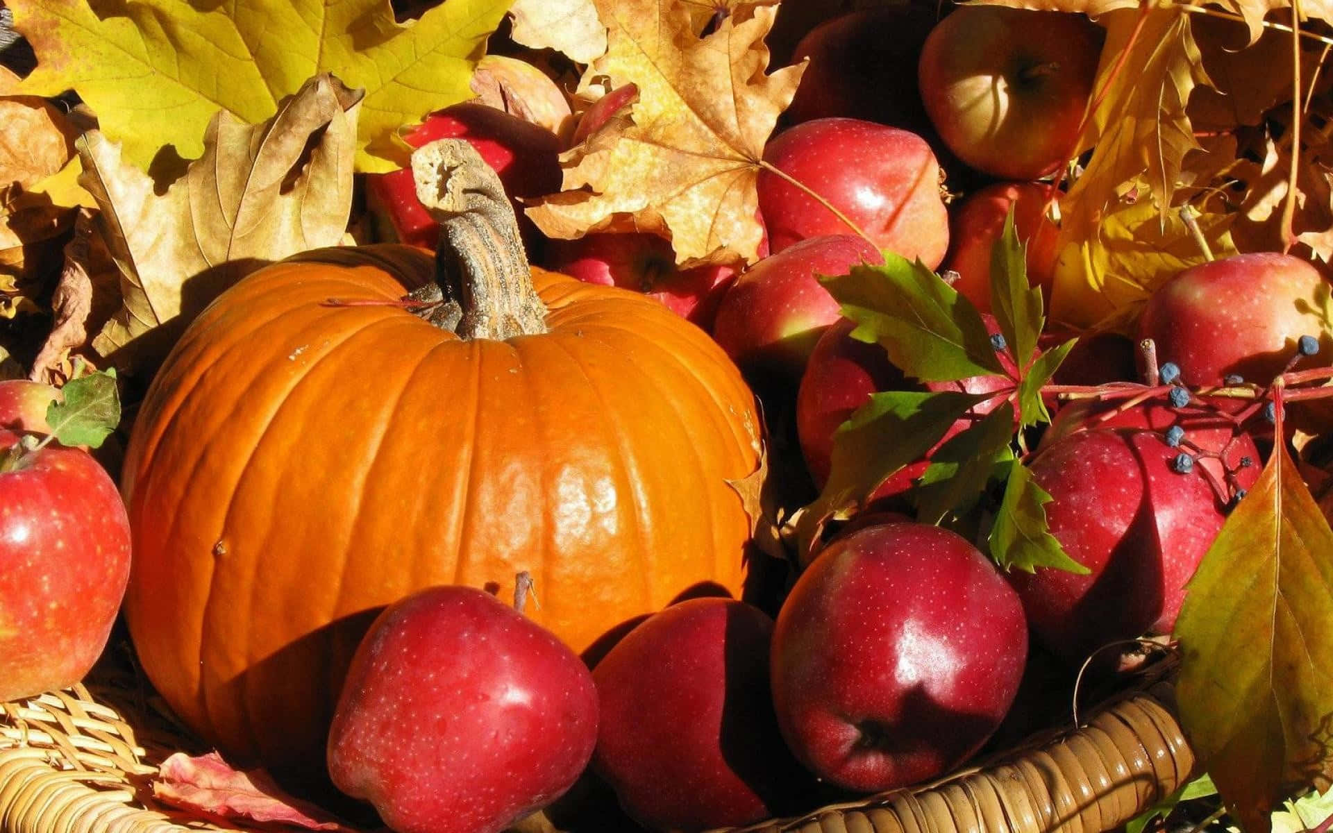 Fall Harvest, orange pumpkins, glossy red apples, Full HD Desktop Wallpaper