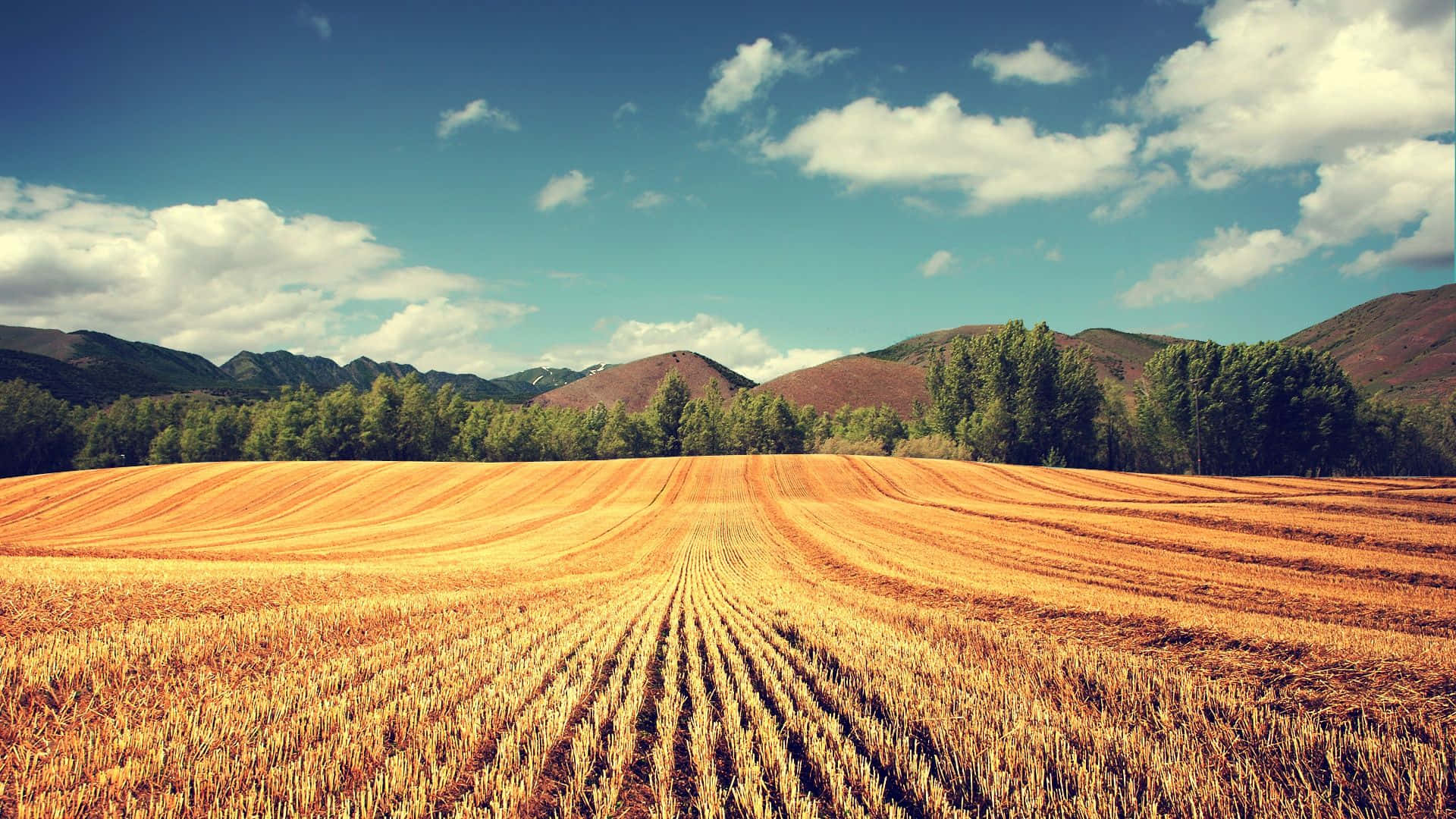 Fall Harvest, 1920 x 1080, Autumn day, Full HD Desktop Wallpaper