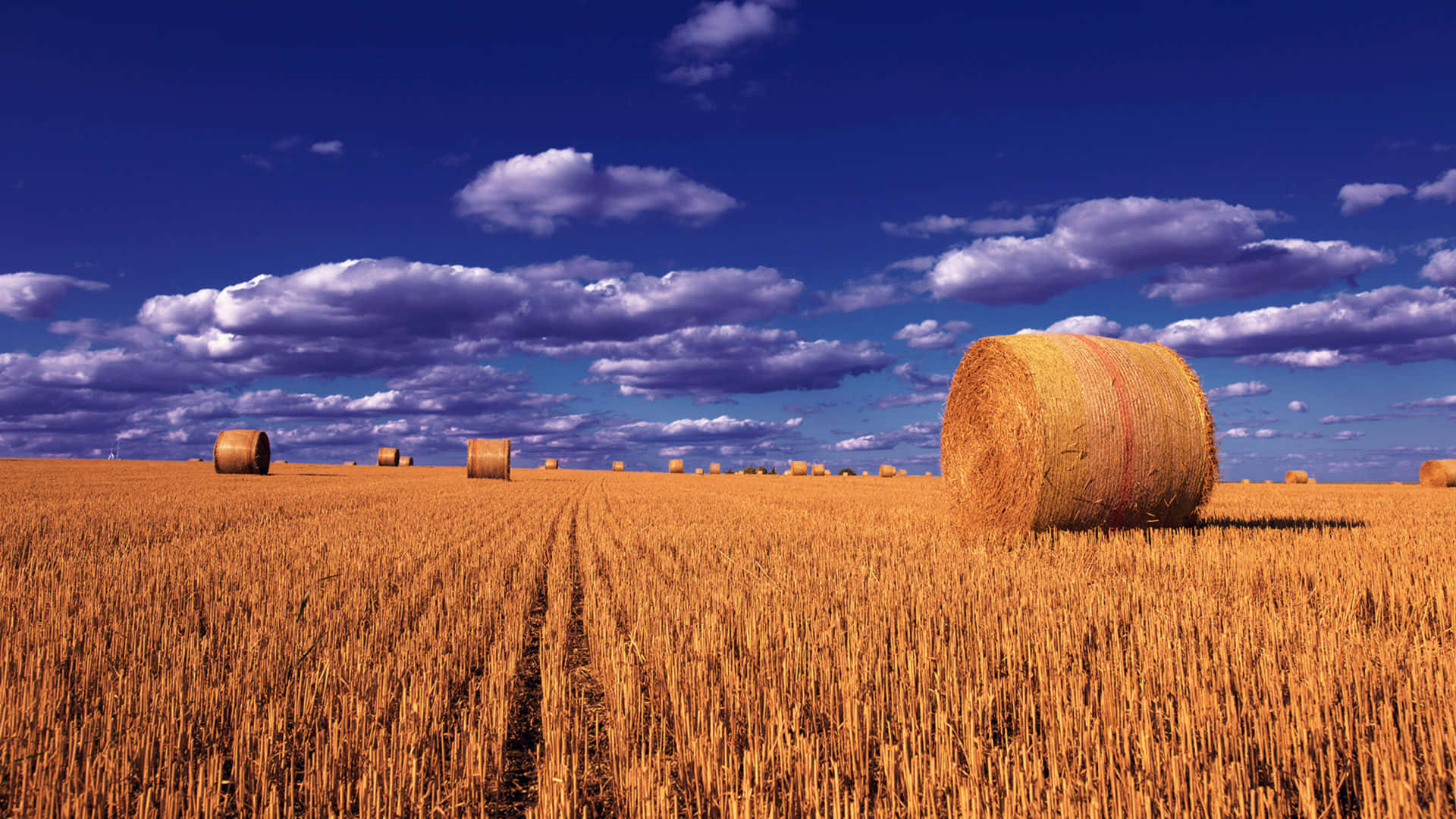 Fall Harvest, 1920 x 1080, golden hay bales, Full HD Desktop Wallpaper