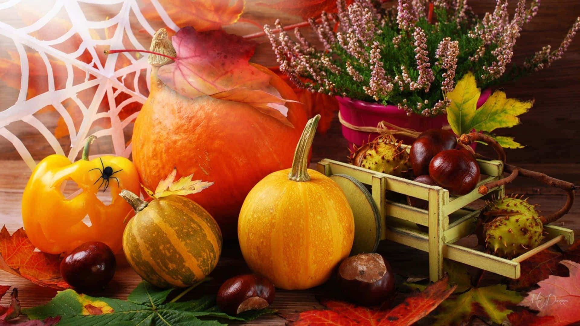 autumn bounty, 1920 x 1080, pumpkins, Full HD Desktop Wallpaper