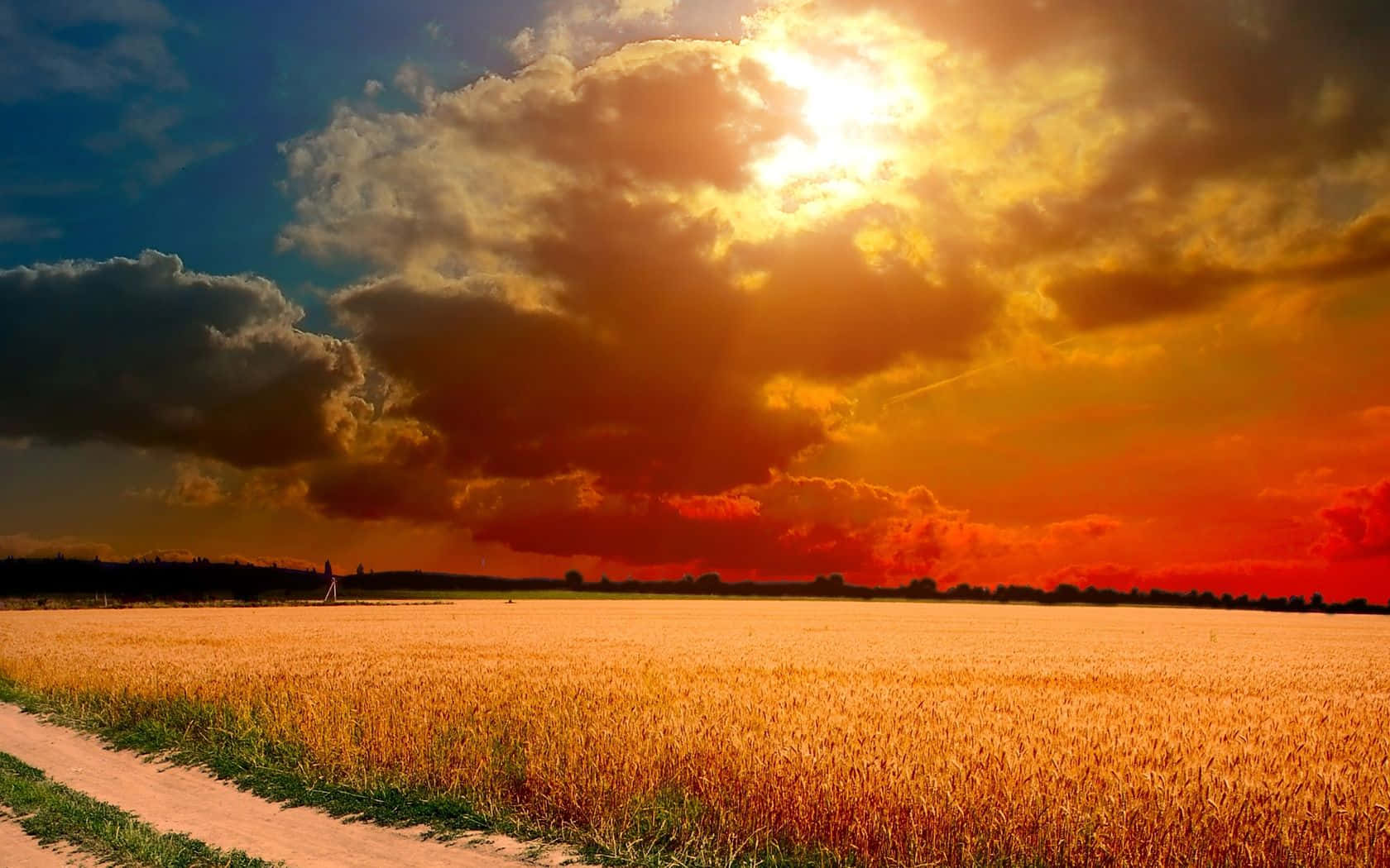 Fall Harvest, golden wheat field, dramatic sunset sky, HD Desktop Wallpaper