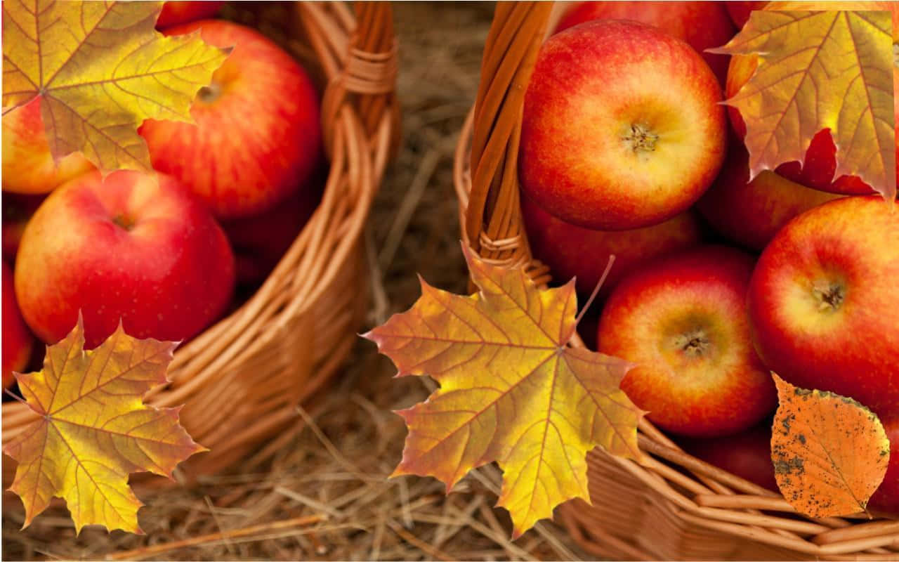 Fall Harvest, glossy red apples, golden maple leaves, HD Desktop Wallpaper