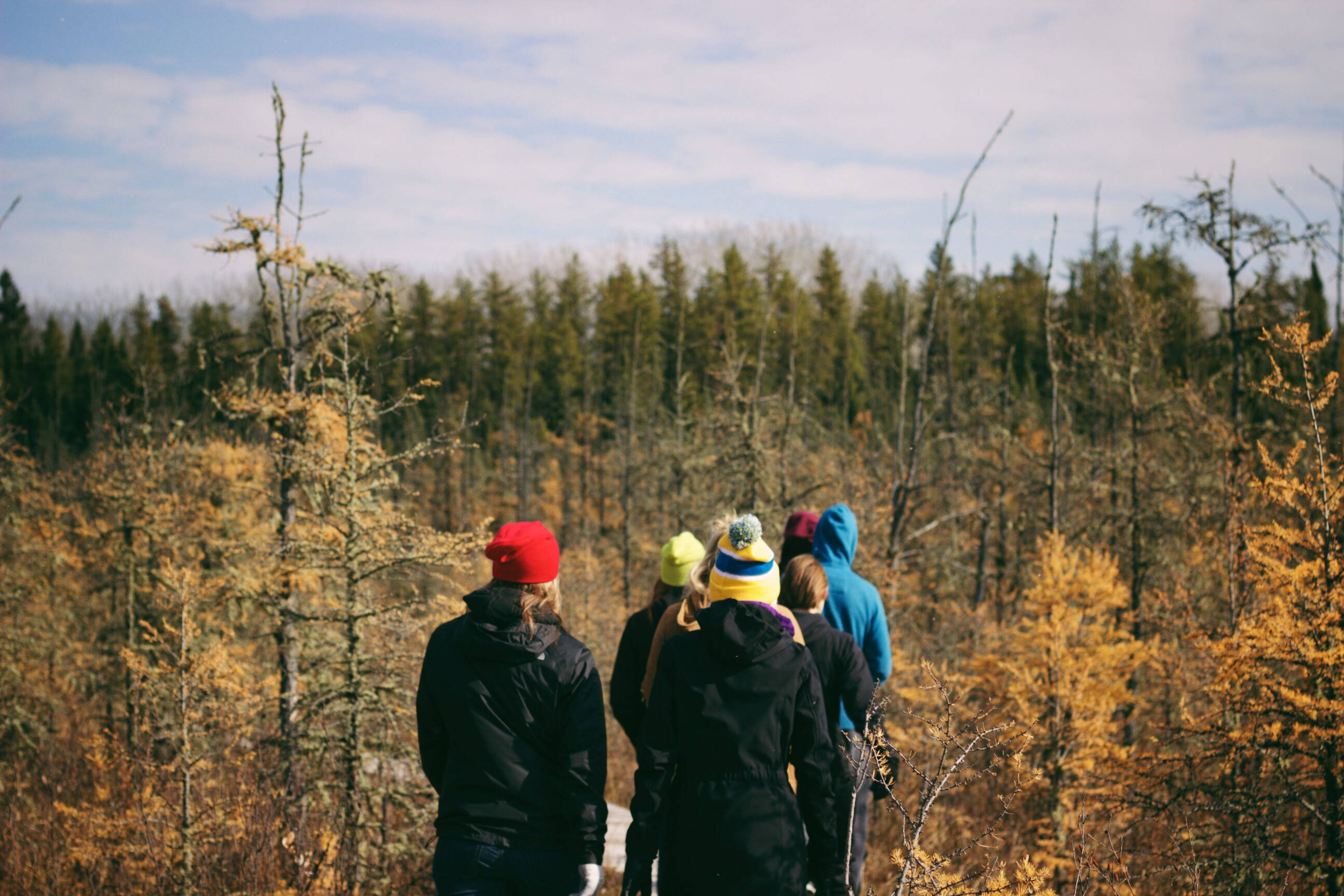 hikers, colorful beanies, golden autumn forest, 2K Desktop Wallpaper