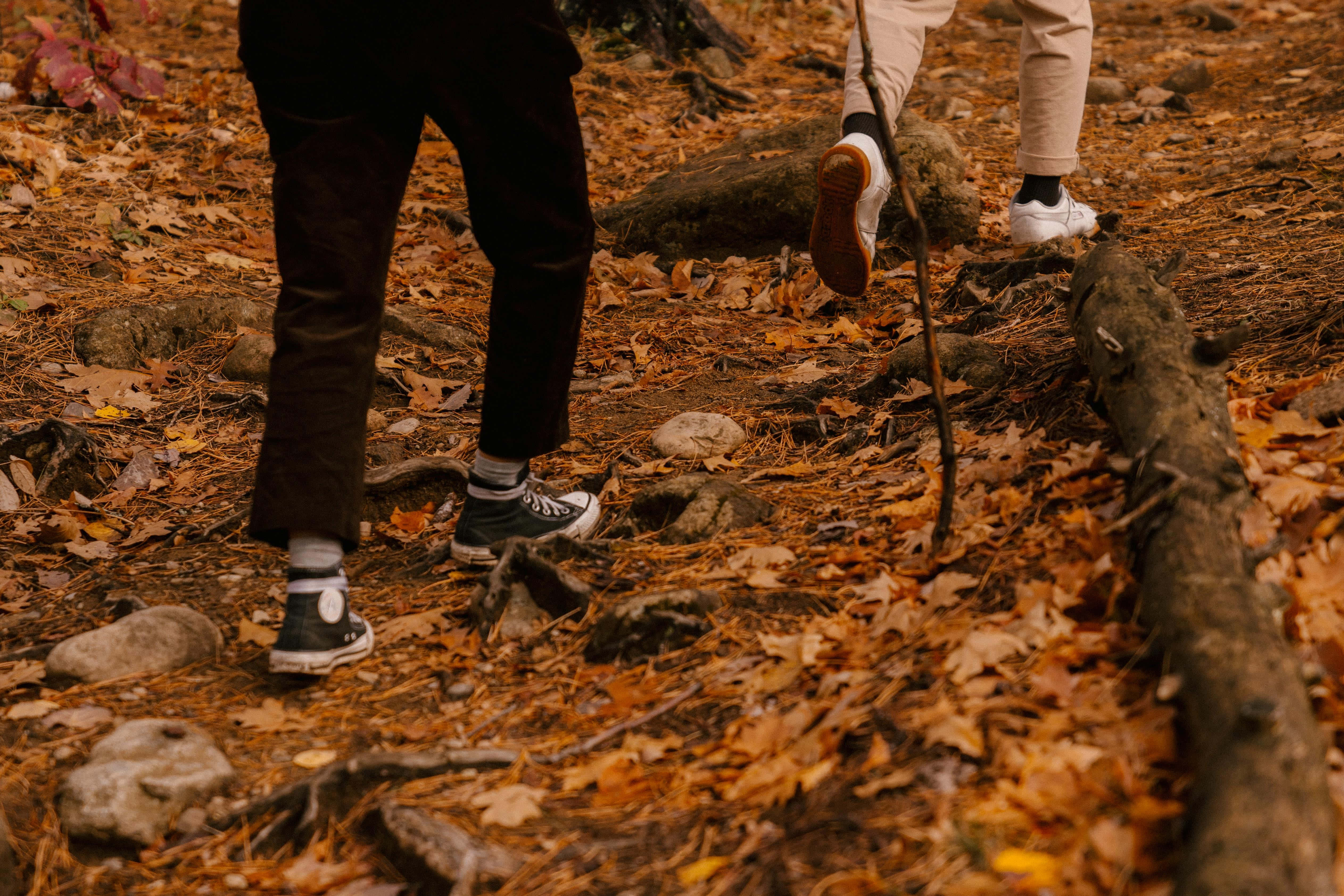 Fall Hikes, 5051 x 3367, golden autumn leaves, 4K Desktop Wallpaper