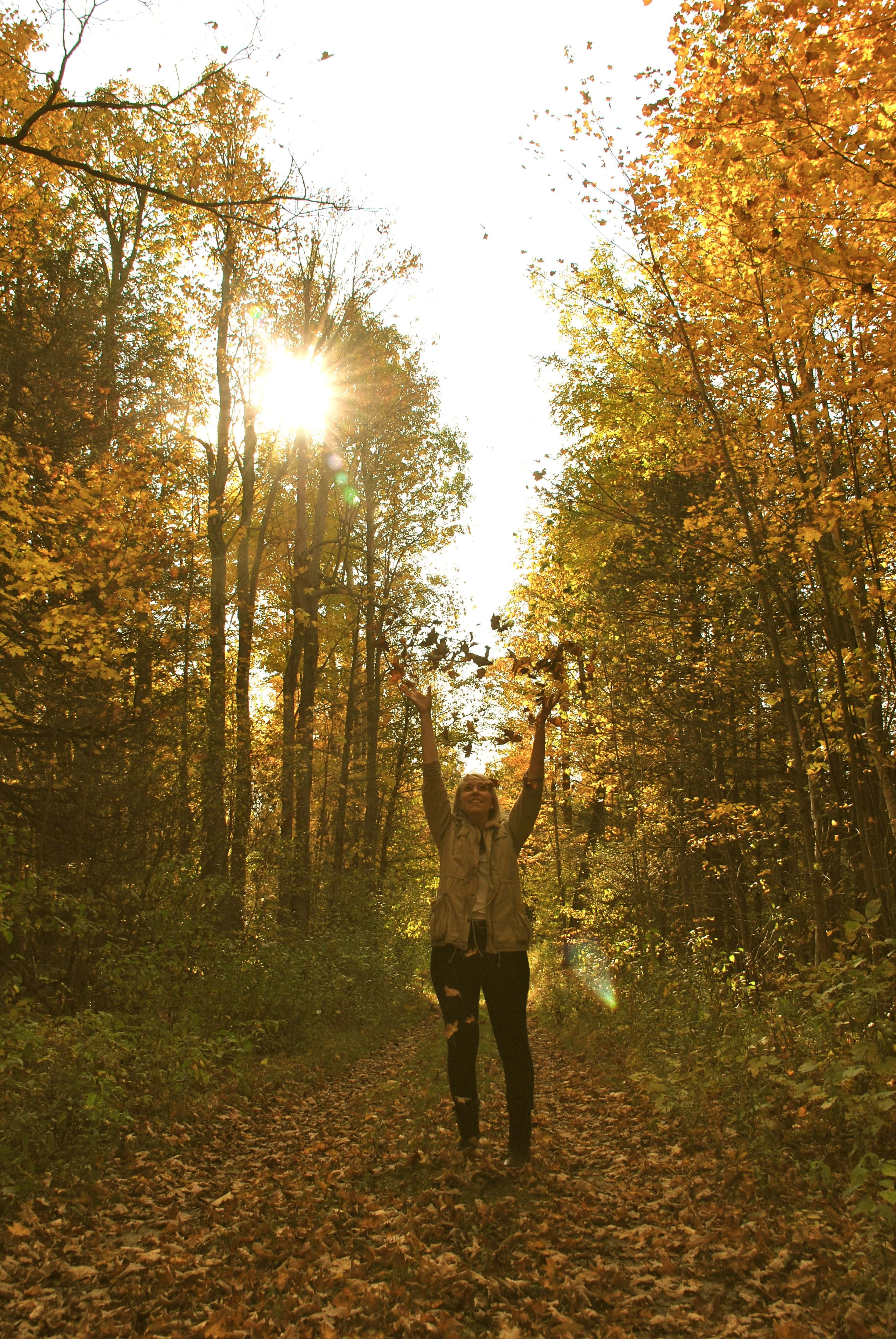 Fall Hikes, autumn leaves, sunlit forest path, 4K Phone Wallpaper