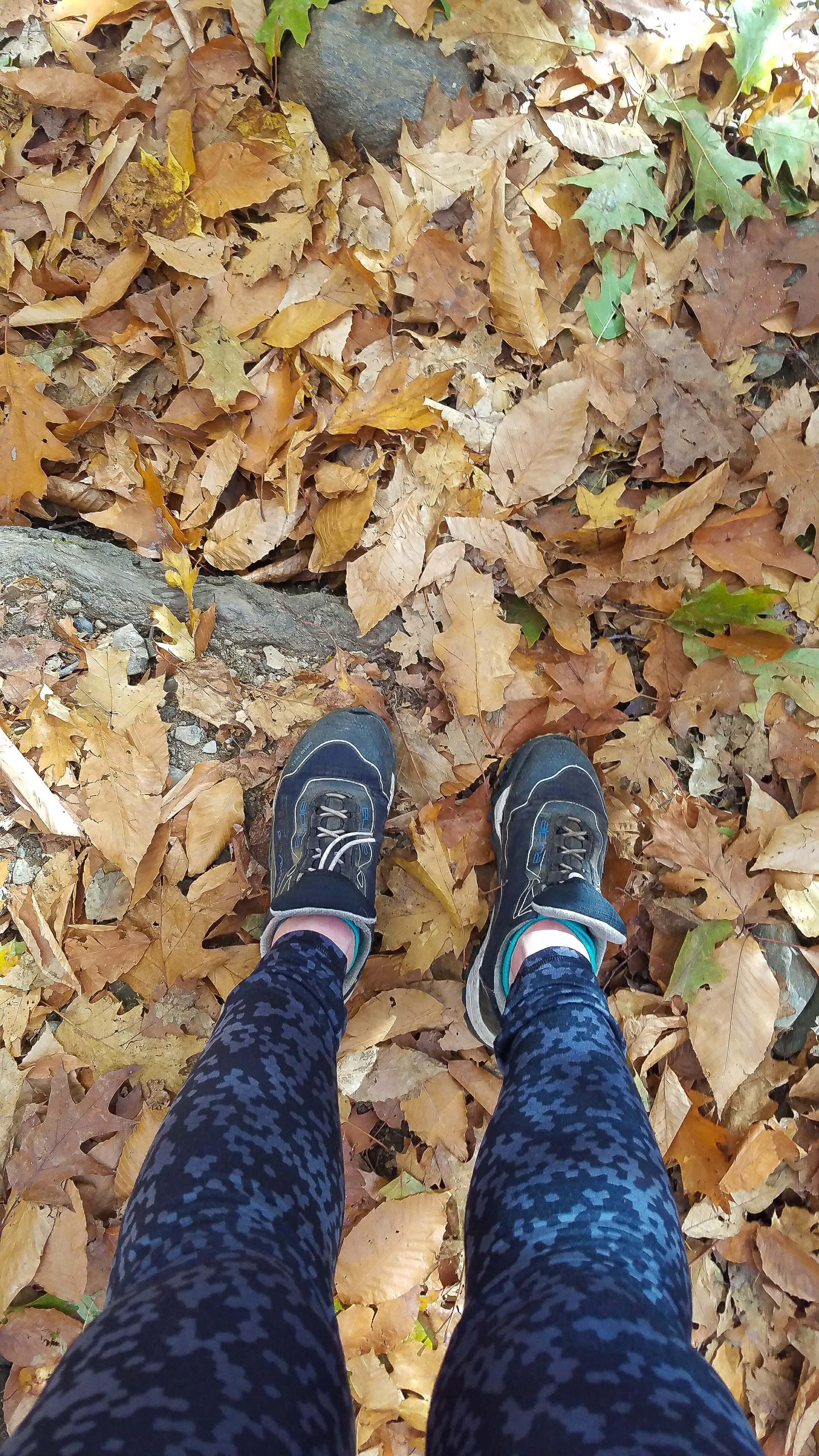 fall hikes, golden brown autumn leaves, sneakers, 4K Phone Wallpaper