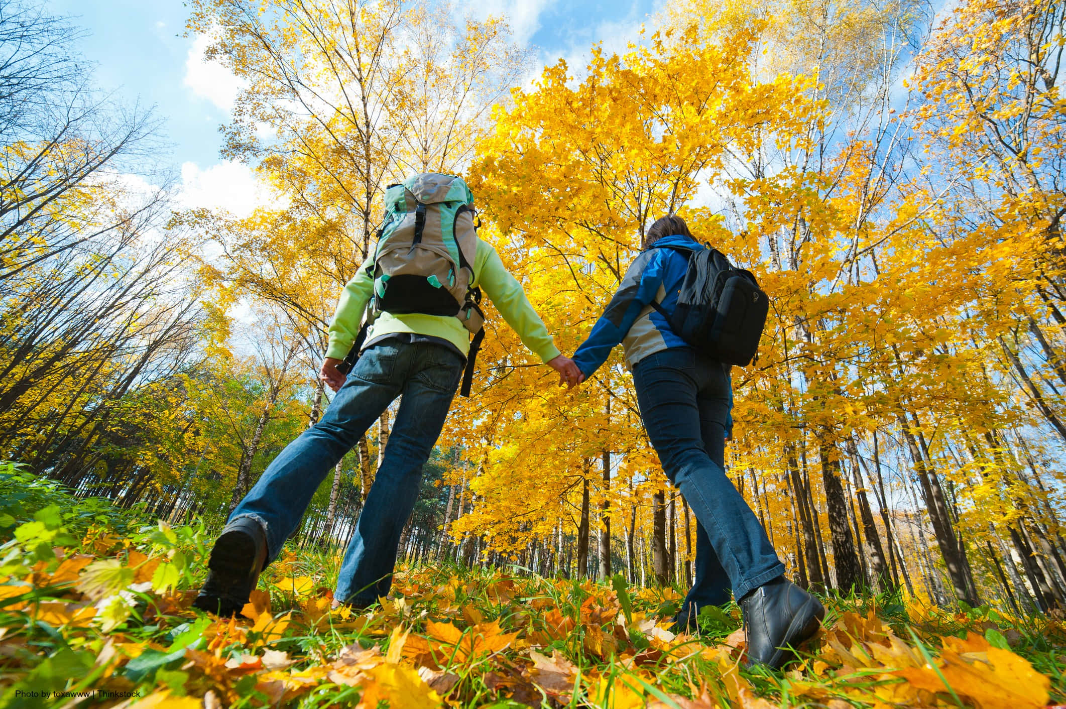 Fall Hikes, autumn forest, bright blue sky, Full HD Desktop Wallpaper