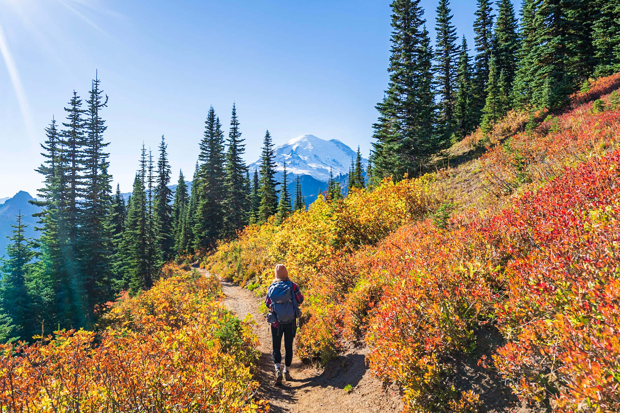 Fall Hikes, autumn foliage, snow-capped mountain, Full HD Desktop Wallpaper