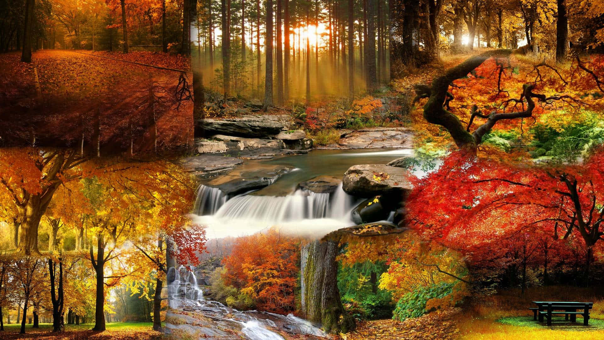 autumn forest, cascading waterfalls, golden sunlight, Full HD Desktop Wallpaper