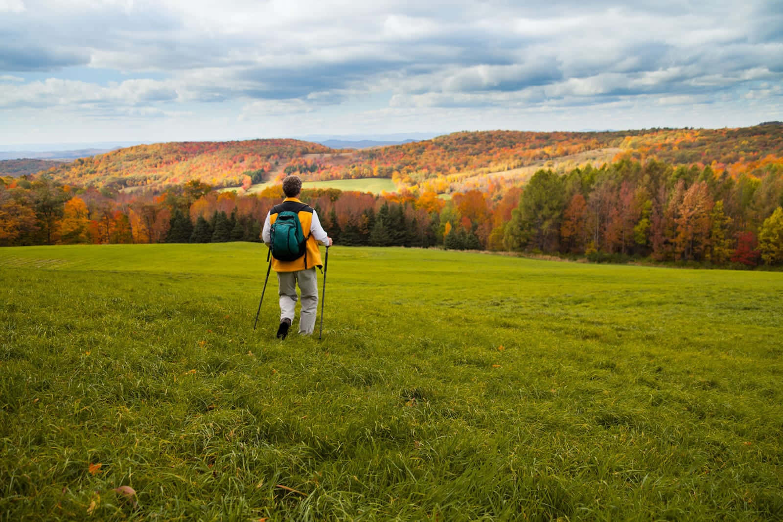 Fall Hikes, vibrant green meadow, rolling hills, HD Desktop Wallpaper