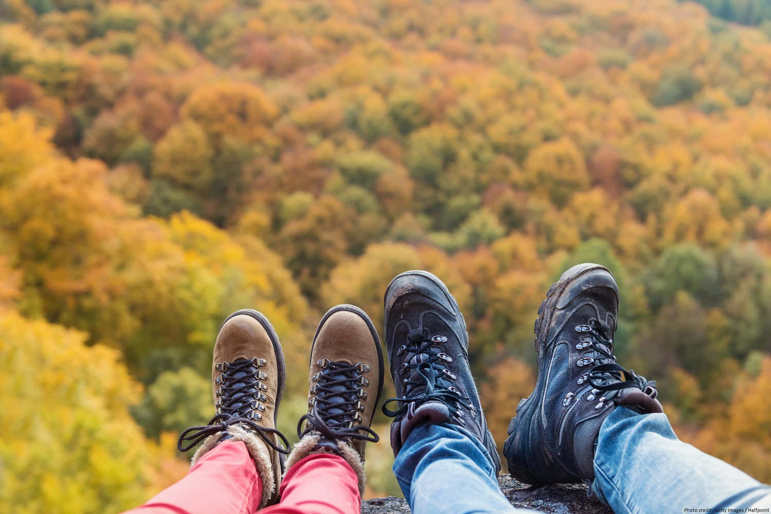 fall hikes, autumn forest, vibrant autumn foliage, HD Desktop Wallpaper