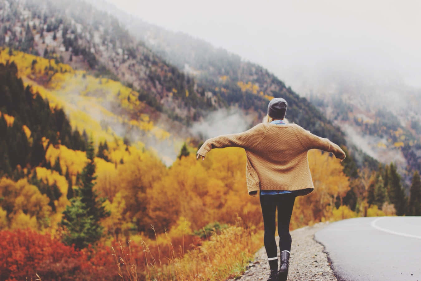 fall hikes, autumn foliage, misty peaks, HD Desktop Wallpaper