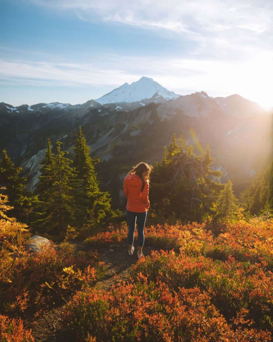 Fall Hikes, orange jacket, autumn foliage, SD Phone Wallpaper
