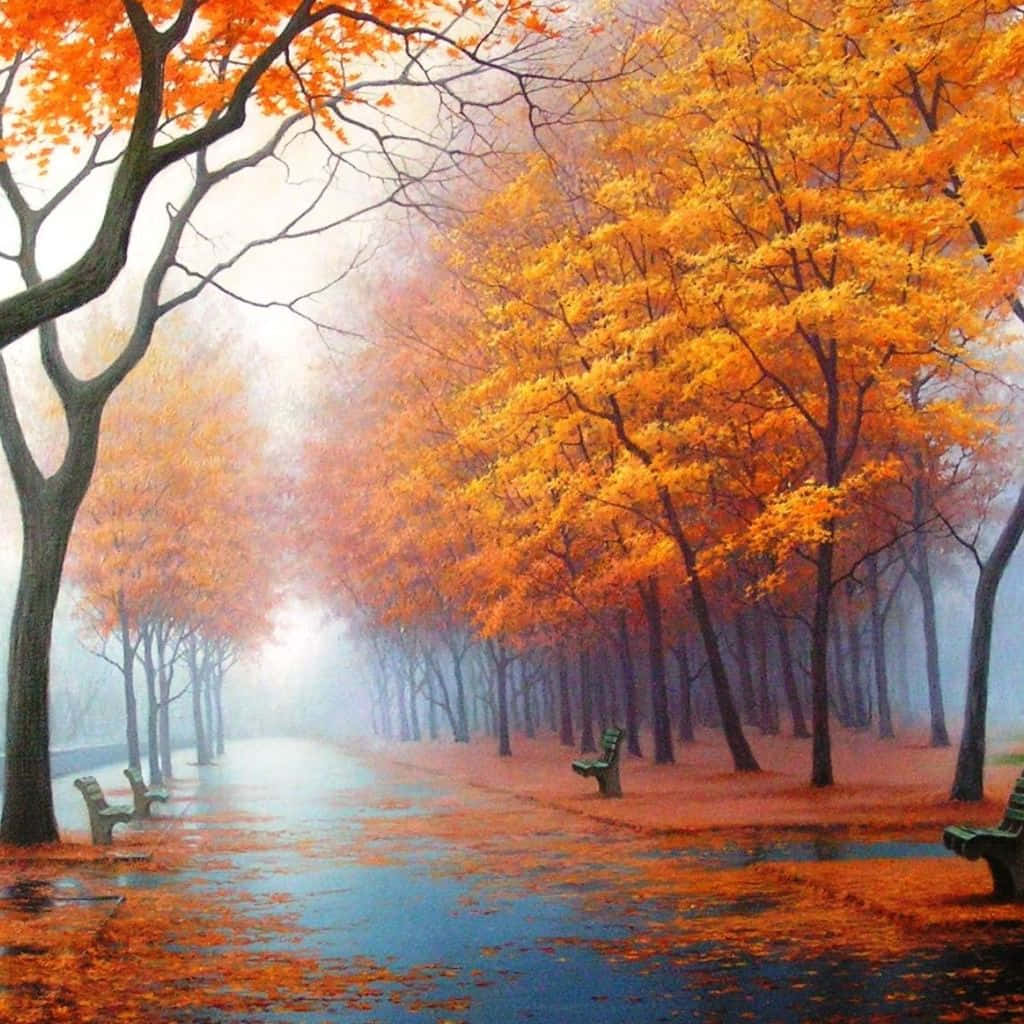 Fall iPad, autumn path, fiery orange trees, SD Desktop Wallpaper