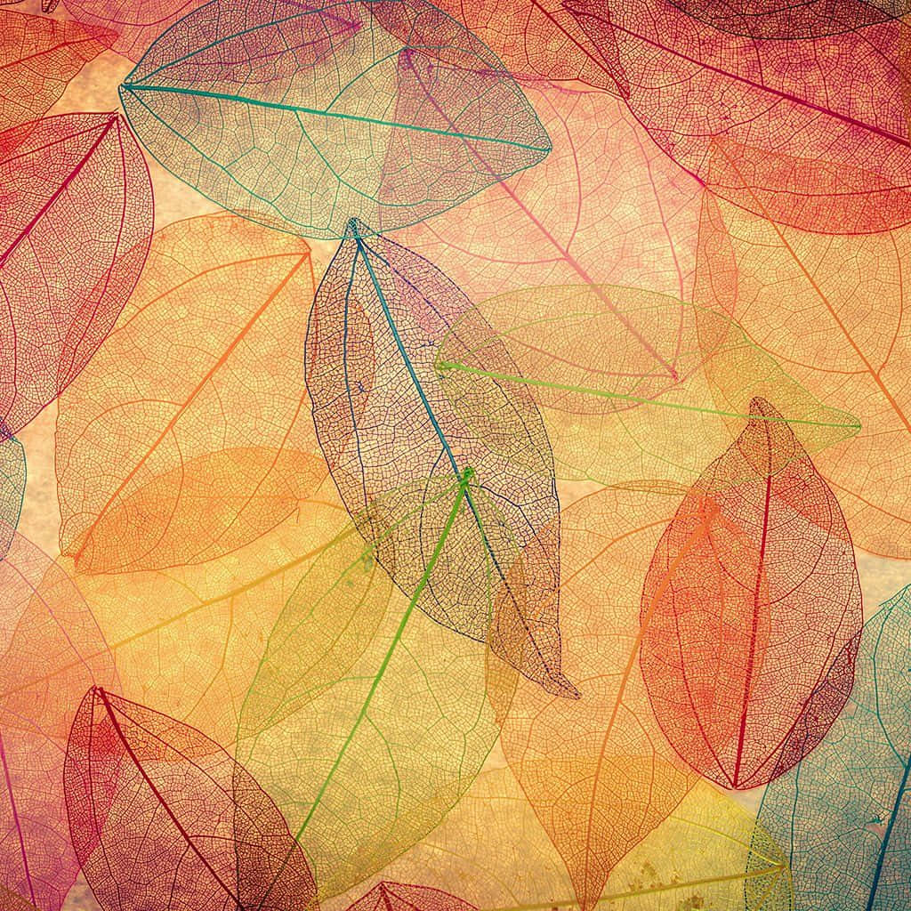 Fall iPad, autumn leaves, vibrant vein patterns, SD Desktop Wallpaper
