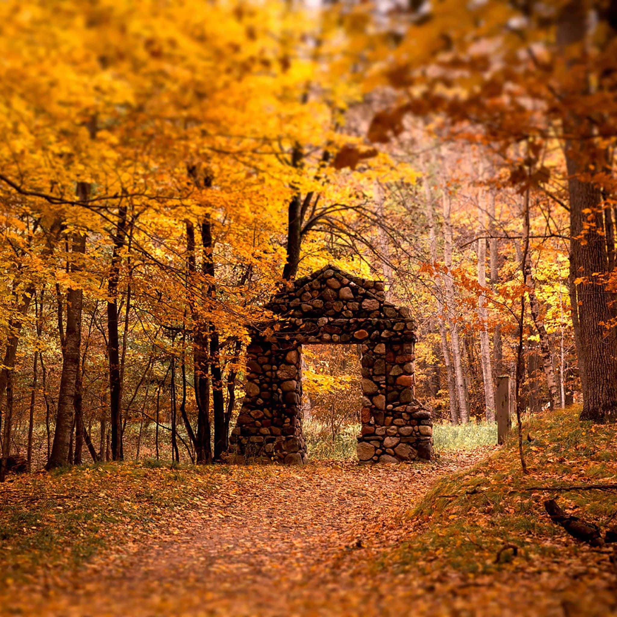 Fall iPad, autumnal colours, stone archway, Full HD Desktop Wallpaper