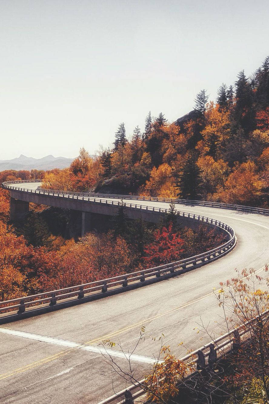 long bridge, mountain road, autumn forest, HD Phone Wallpaper