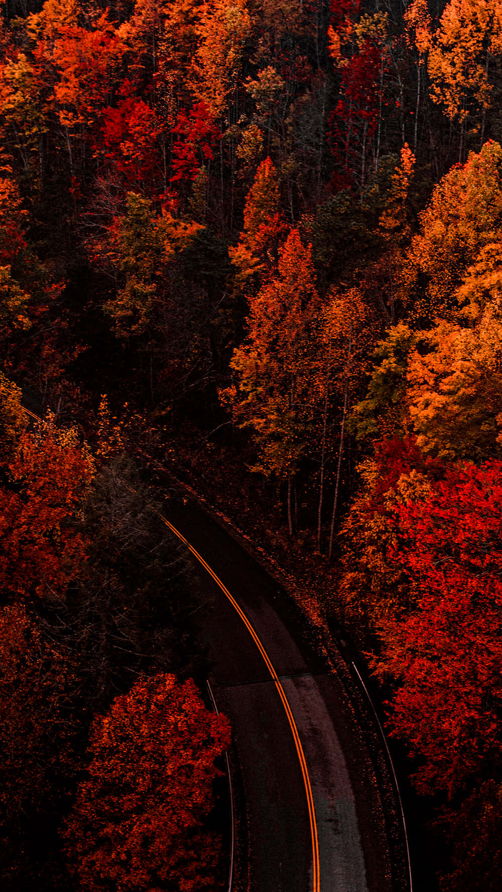 iPhone, fall aesthetic, winding road, HD Phone Wallpaper