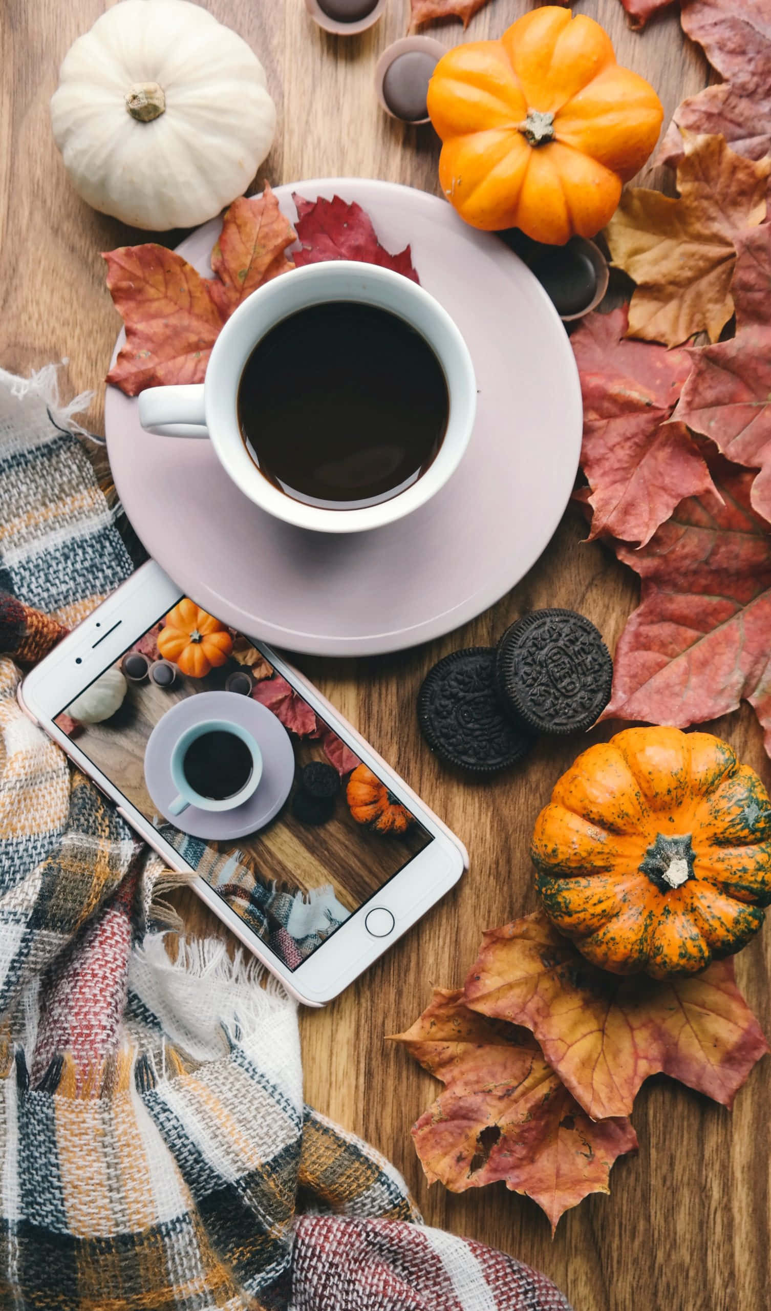 iPhone, black coffee, pumpkins, 2K Phone Wallpaper