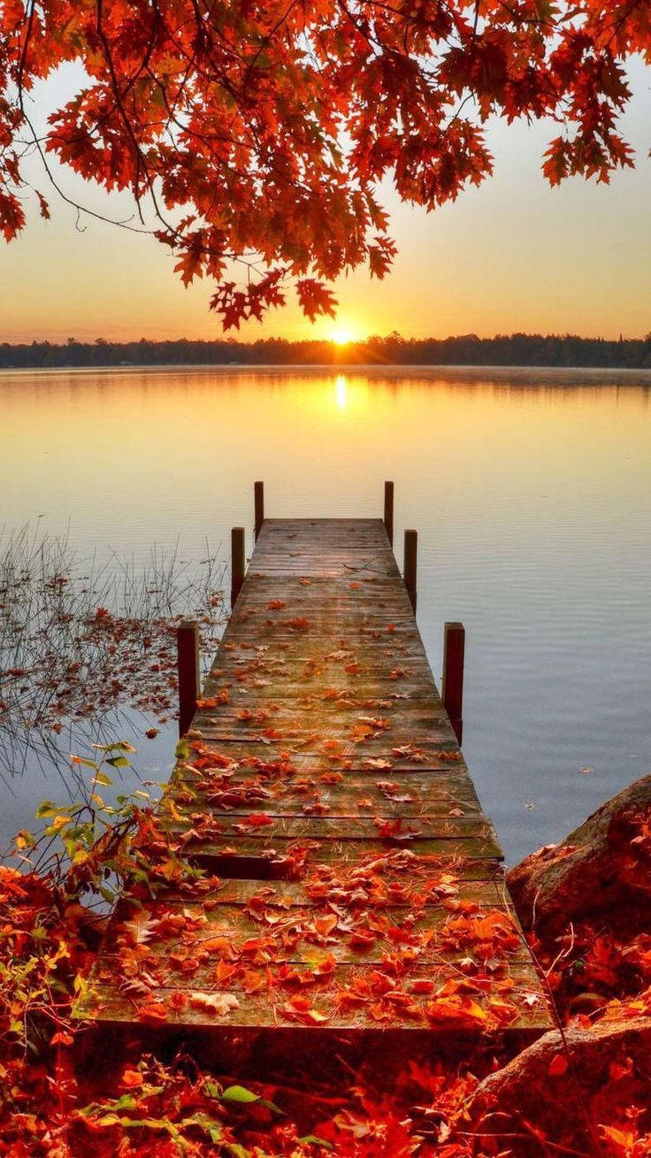 bridge, red leaves, fall, HD Phone Wallpaper