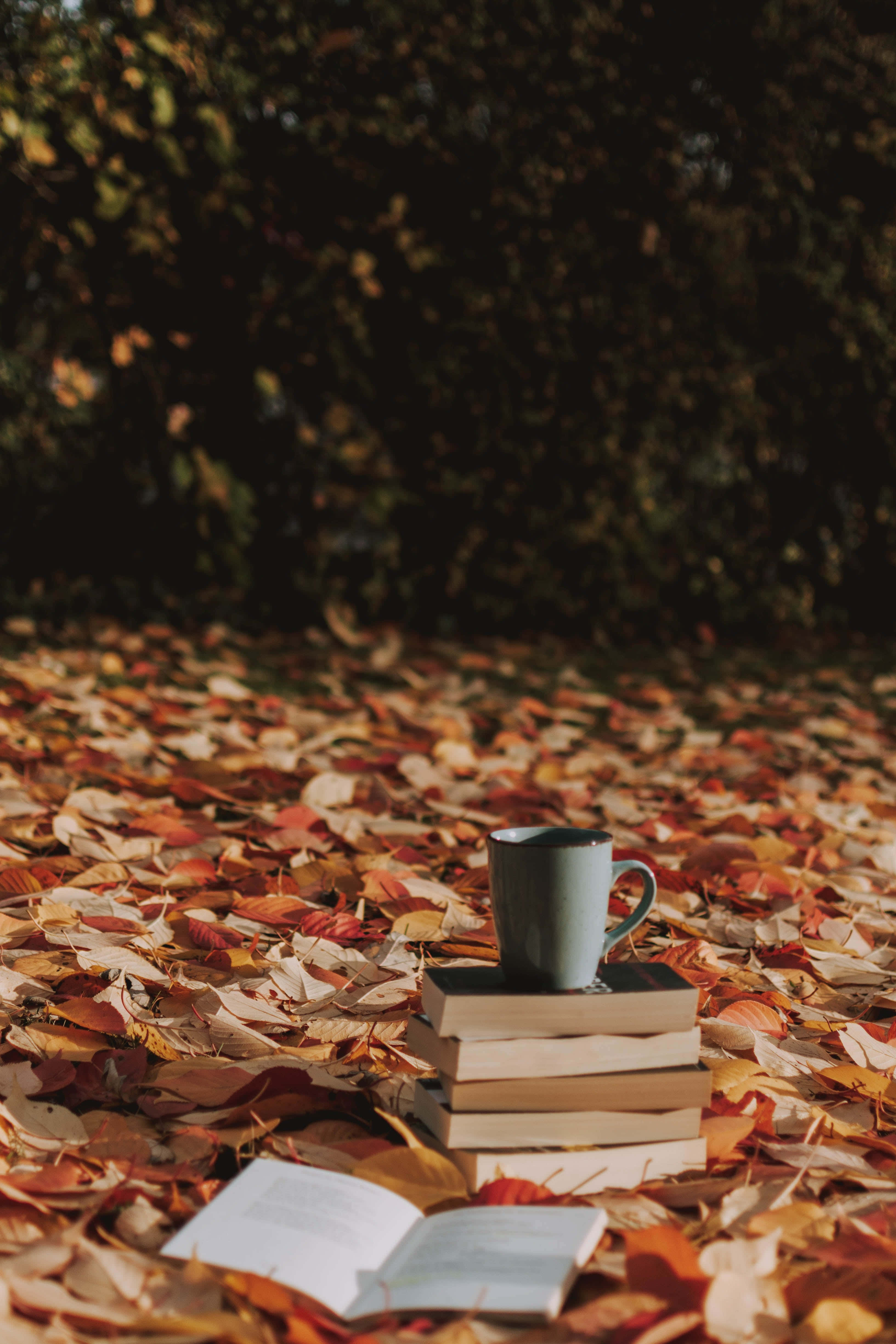 iPhone, fall aesthetic, stack of books, 4K Phone Wallpaper