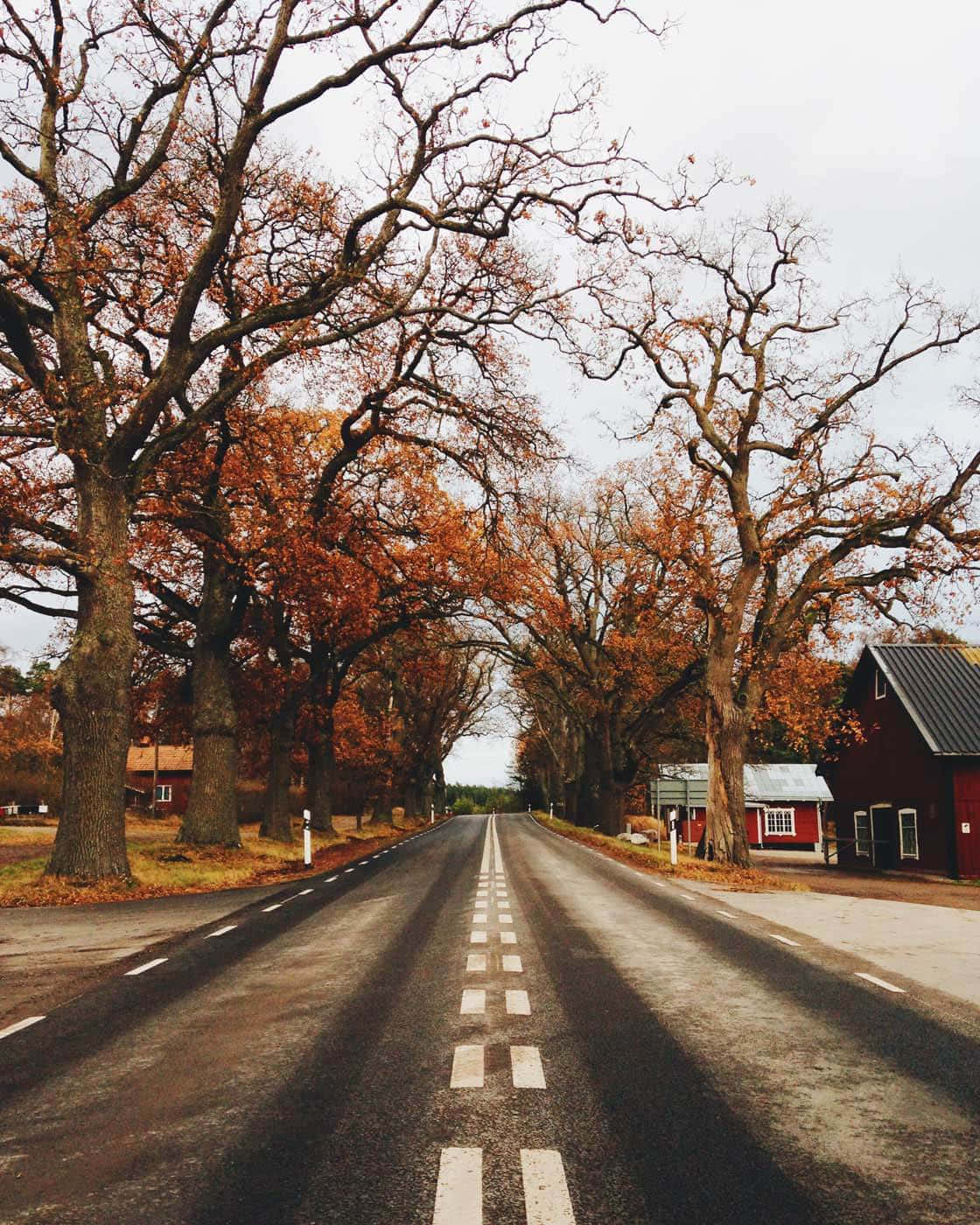 iPhone, Fall, rural town road, HD Phone Wallpaper
