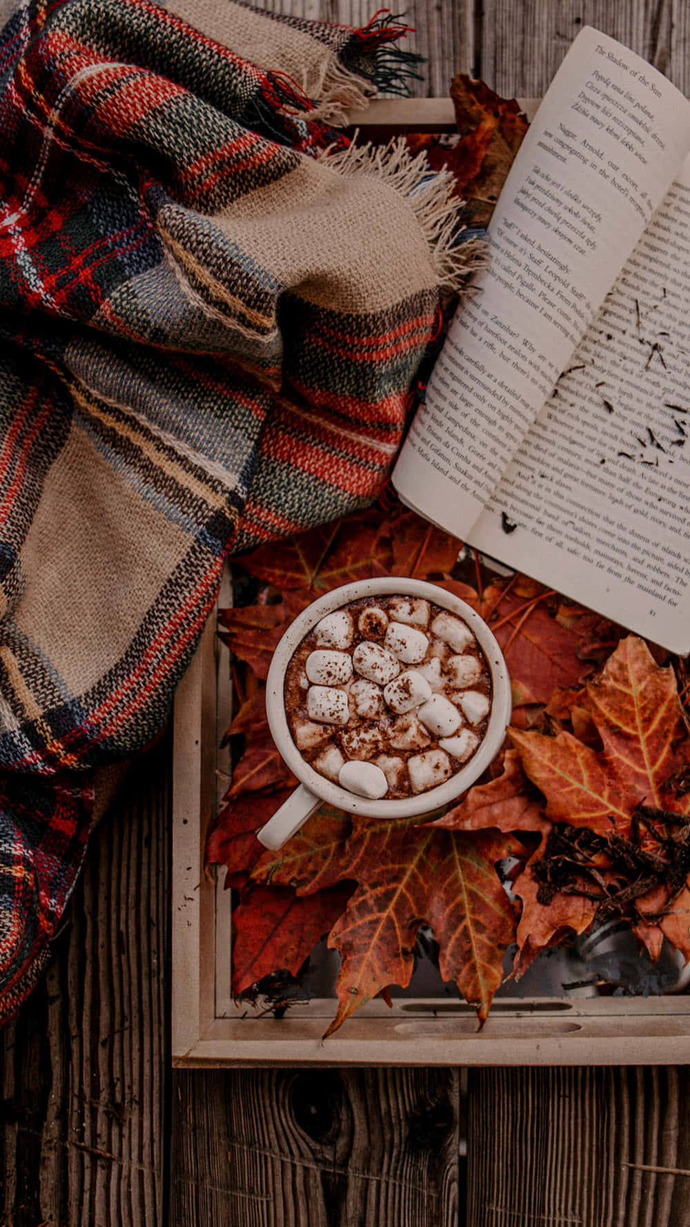 iPhone Fall Aesthetic, hot chocolate, marshmallows, HD Phone Wallpaper