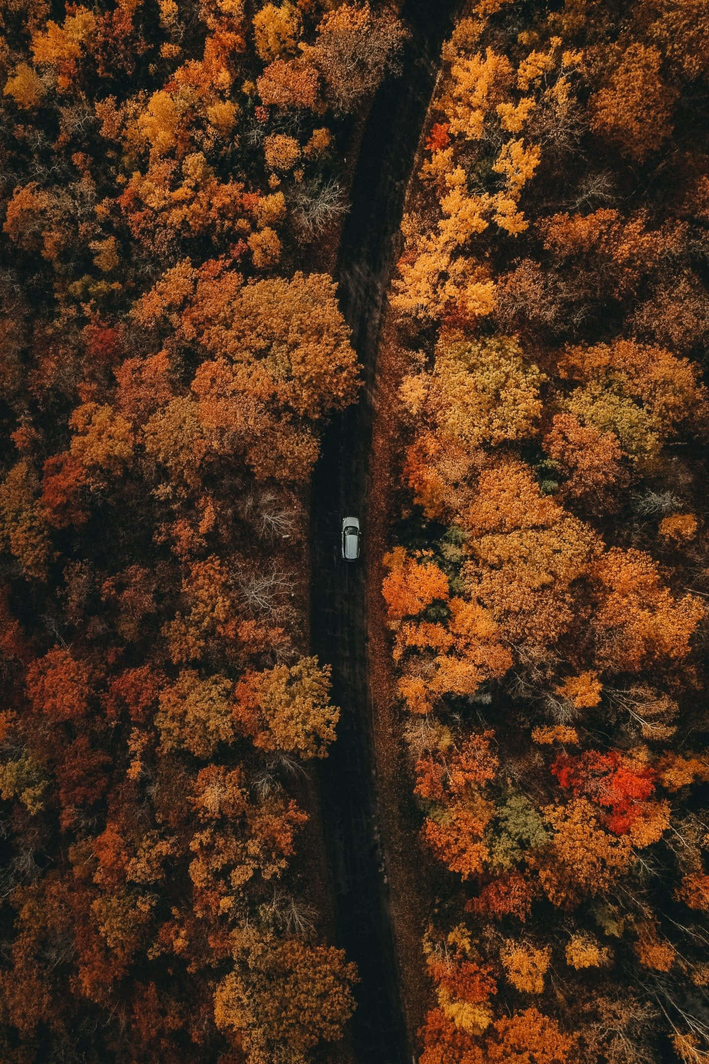 iPhone, drone shot, winding road, Full HD Phone Wallpaper
