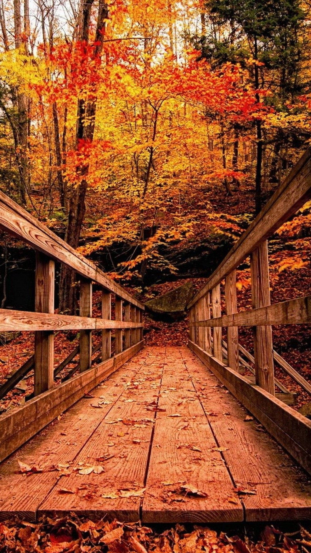 wooden bridge, red trees, autumn leaves, Full HD Phone Wallpaper