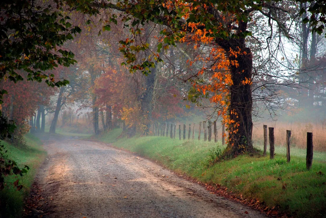 Fall Landscape