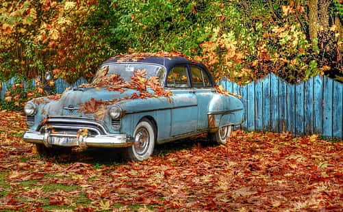 vintage blue car, autumn leaves, weathered blue fence, SD Desktop Wallpaper