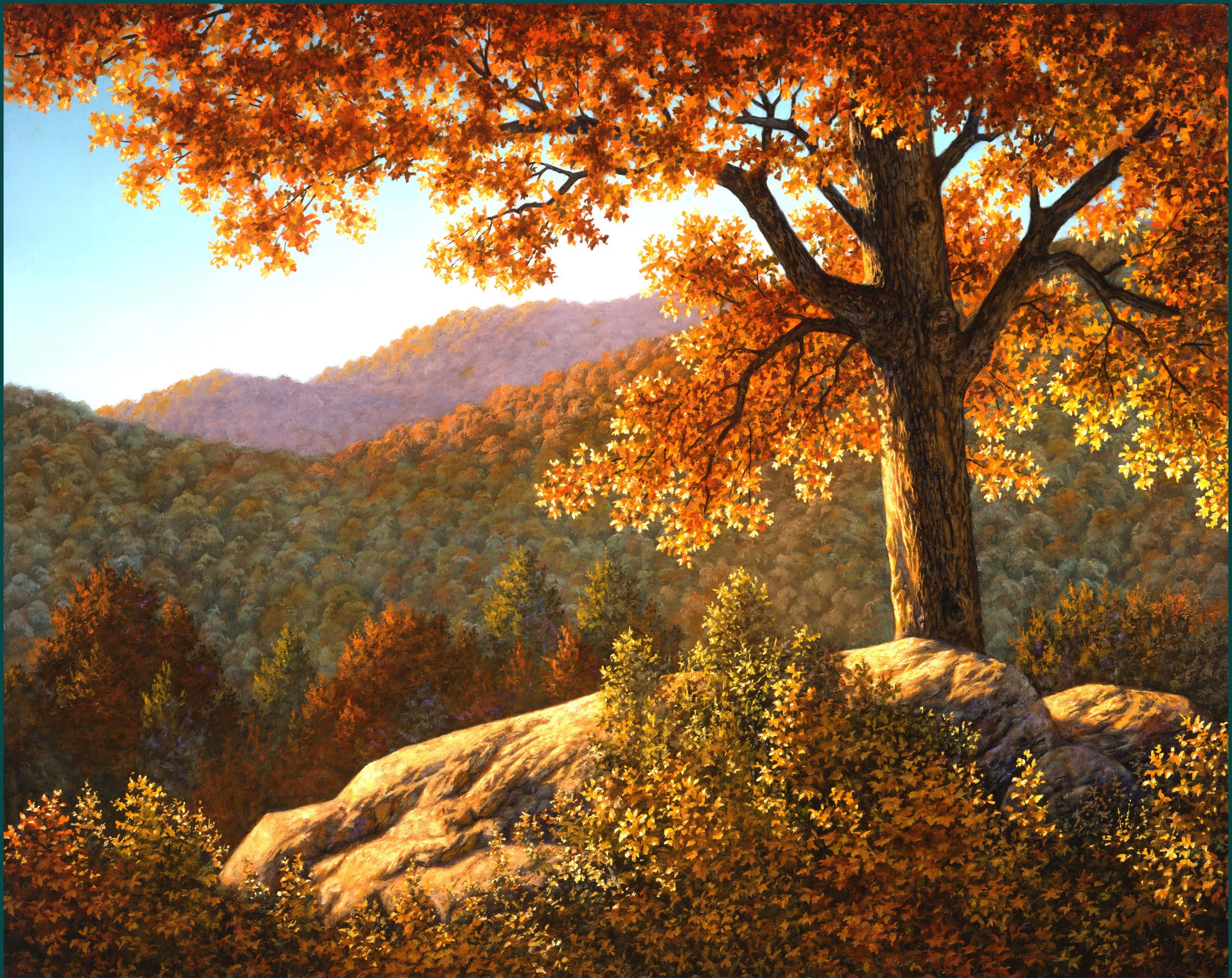 autumn tree, fiery orange leaves, rocky outcrop, 2K Desktop Wallpaper