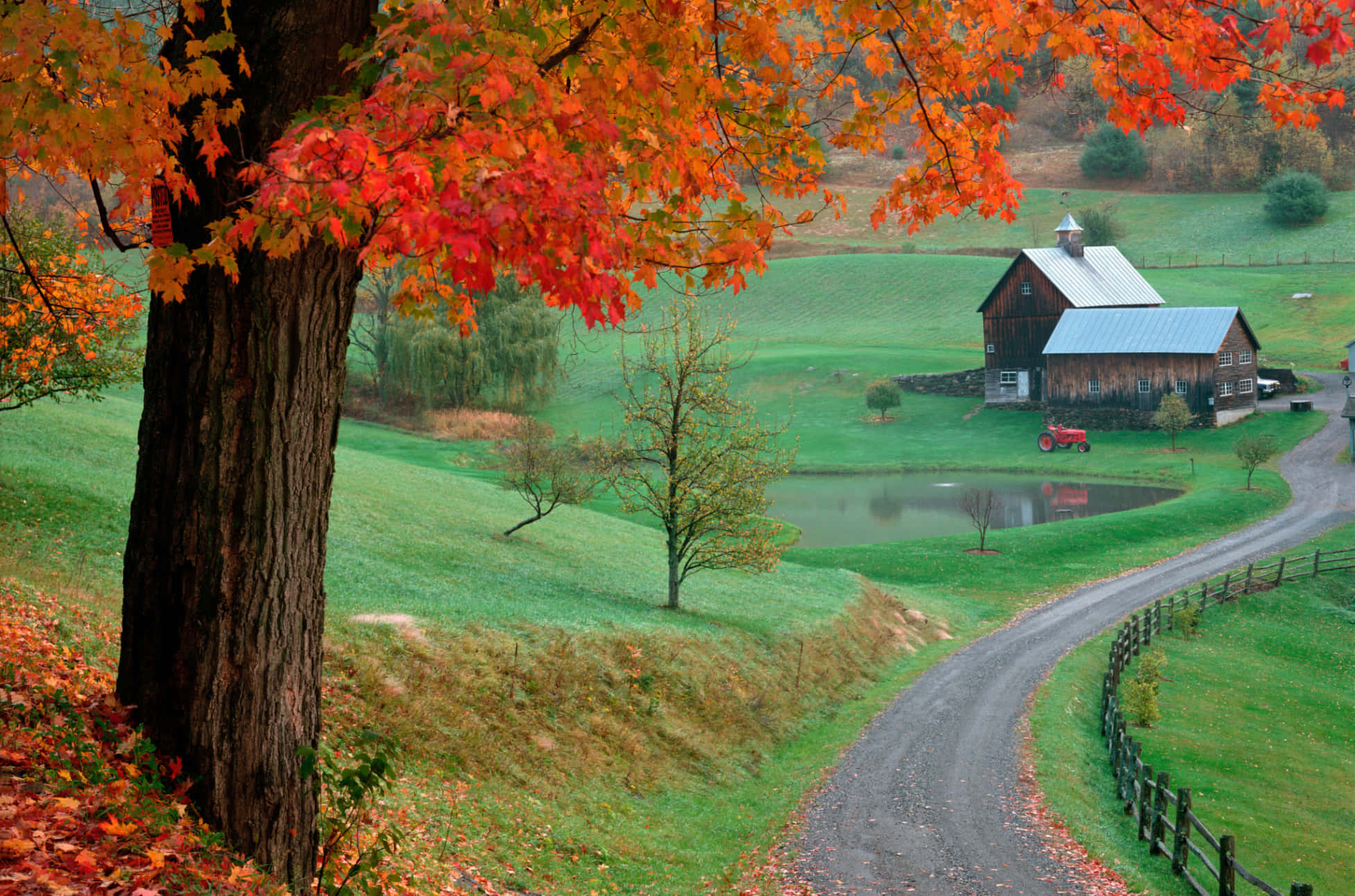 fall country 1953, rustic barn, pond, Full HD Desktop Wallpaper