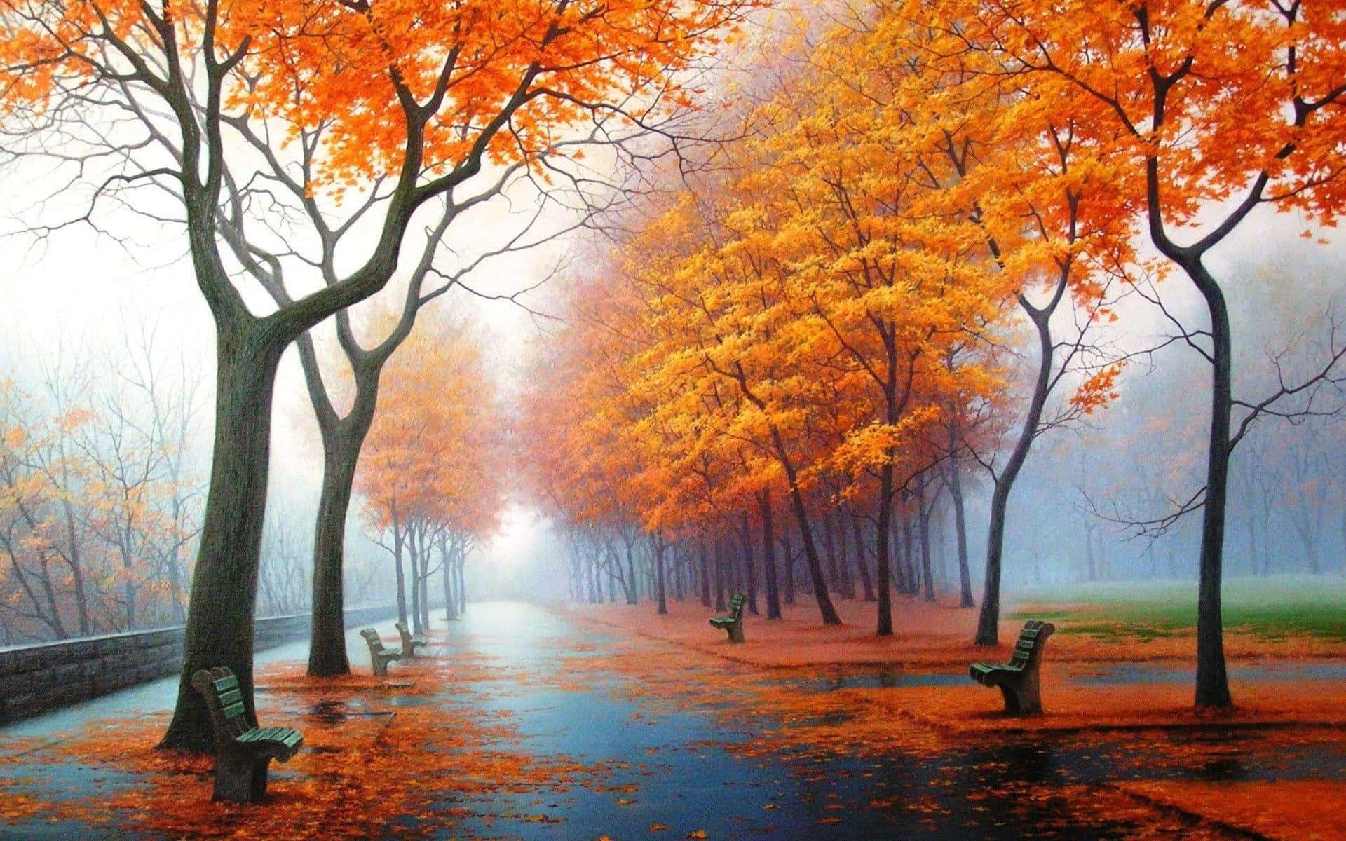 fall landscape, fiery orange trees, wet ground, Full HD Desktop Wallpaper