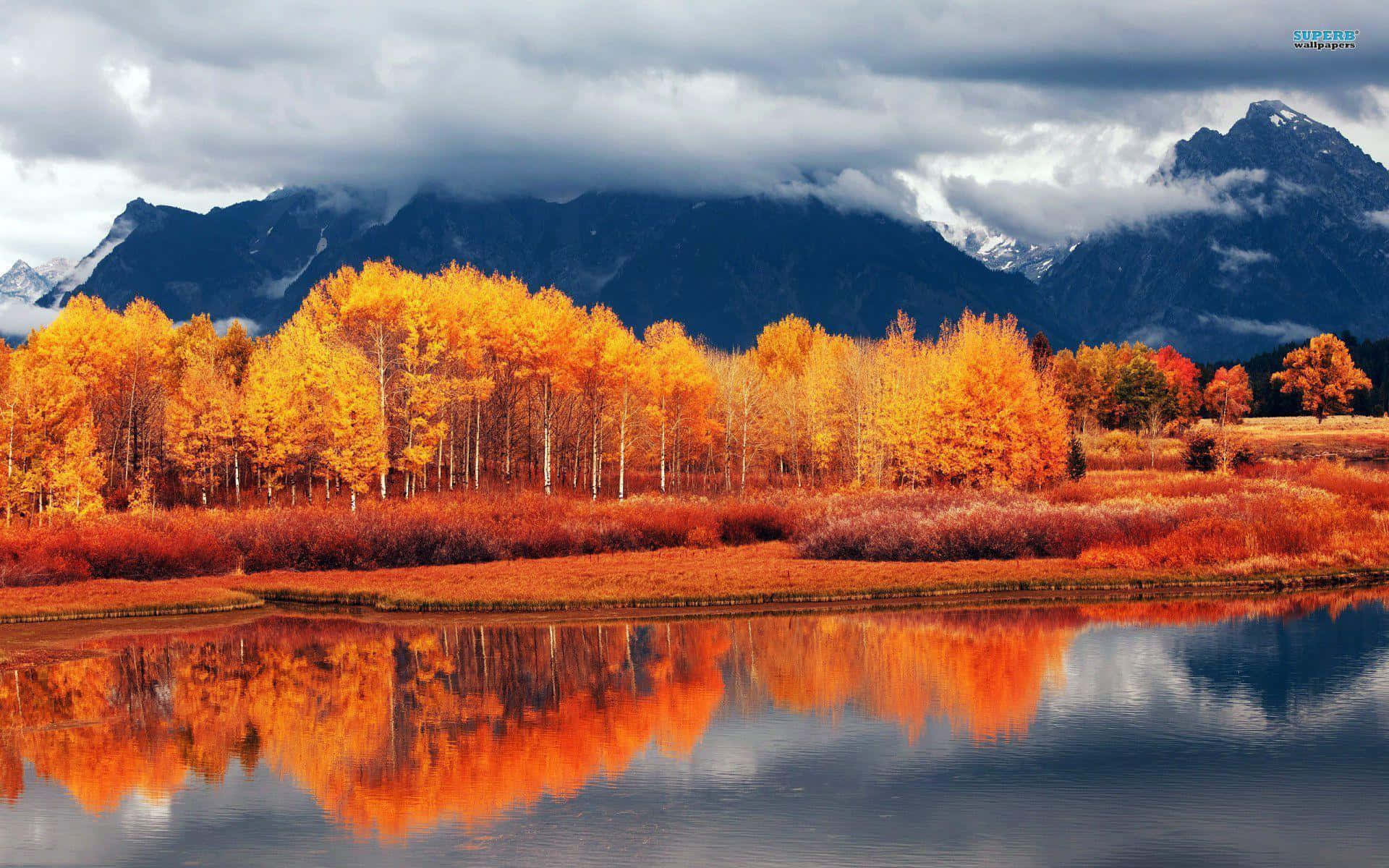 Vibrant Fall Landscape, orange aspen trees, calm water, Full HD Desktop Wallpaper