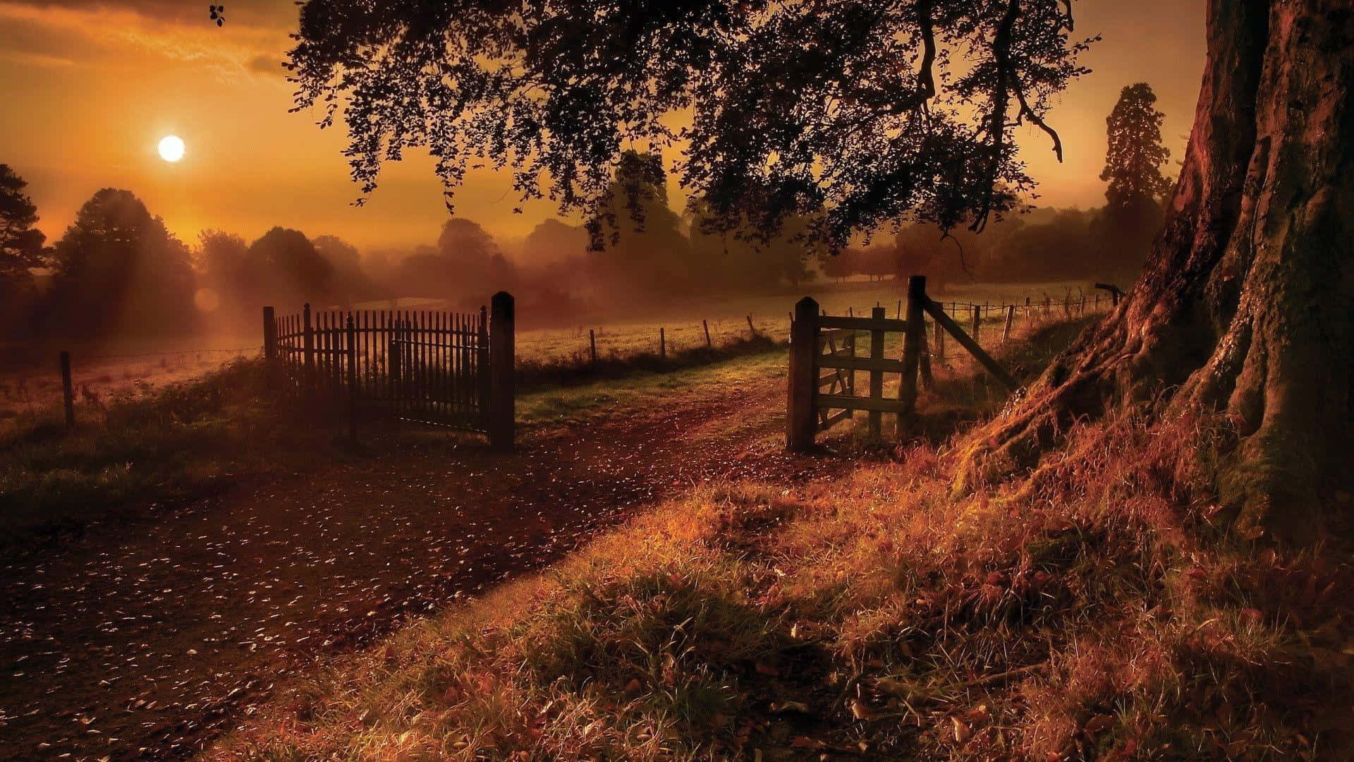 fall landscape, misty dawn, golden field, Full HD Desktop Wallpaper