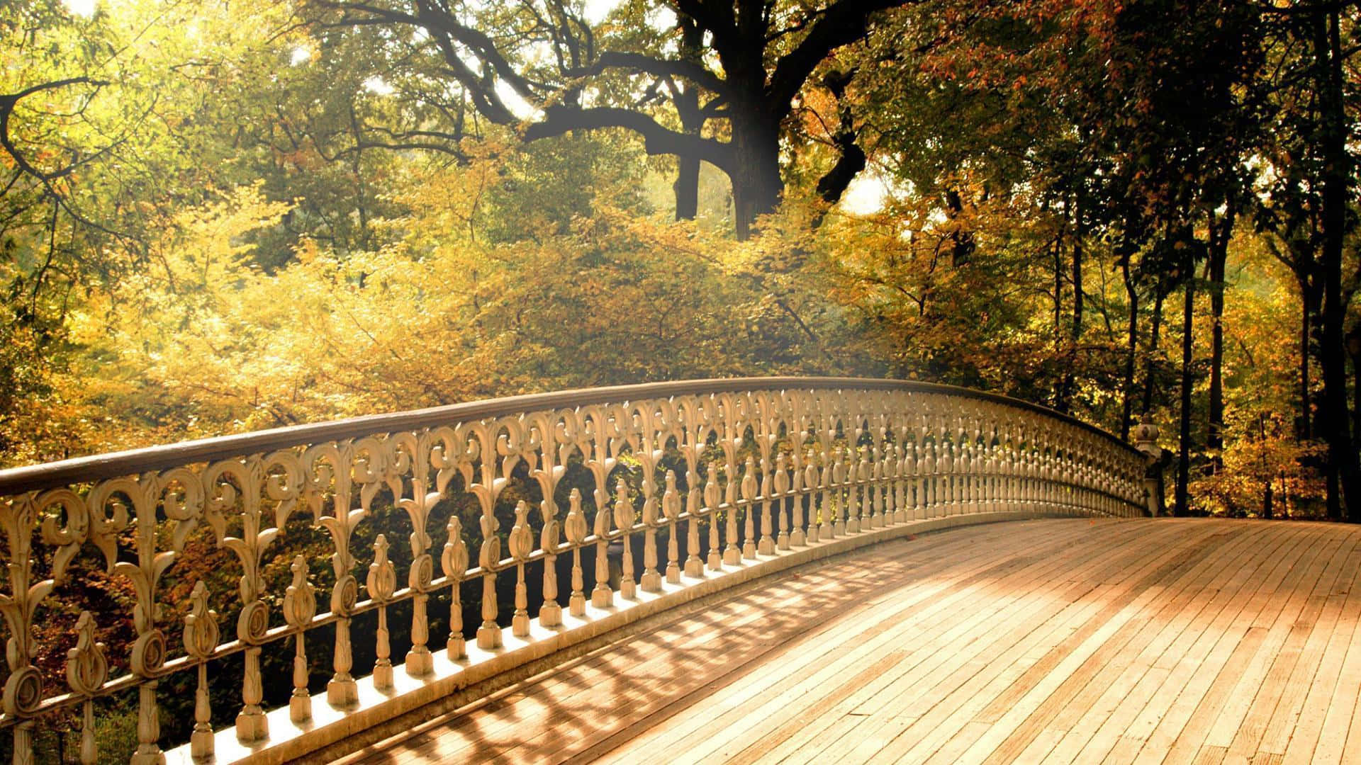 sunlit wooden bridge, ornate iron railings, golden autumn forest, Full HD Desktop Wallpaper