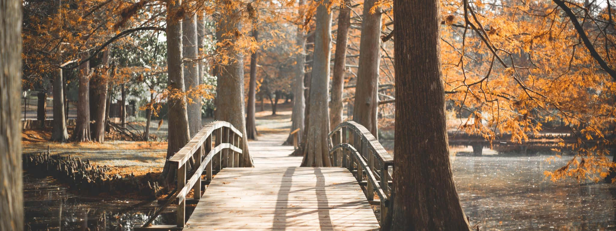 Vibrant Fall Landscape Wallpaper, wooden bridge, autumn forest, Full HD Desktop Wallpaper