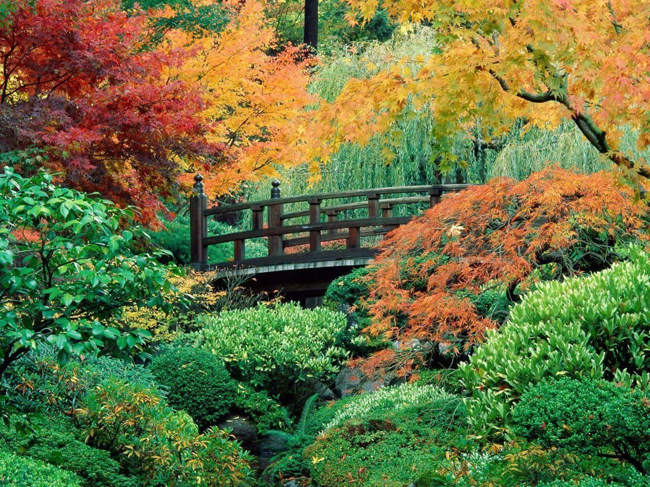 fall landscape, wooden bridge, stream, HD Desktop Wallpaper