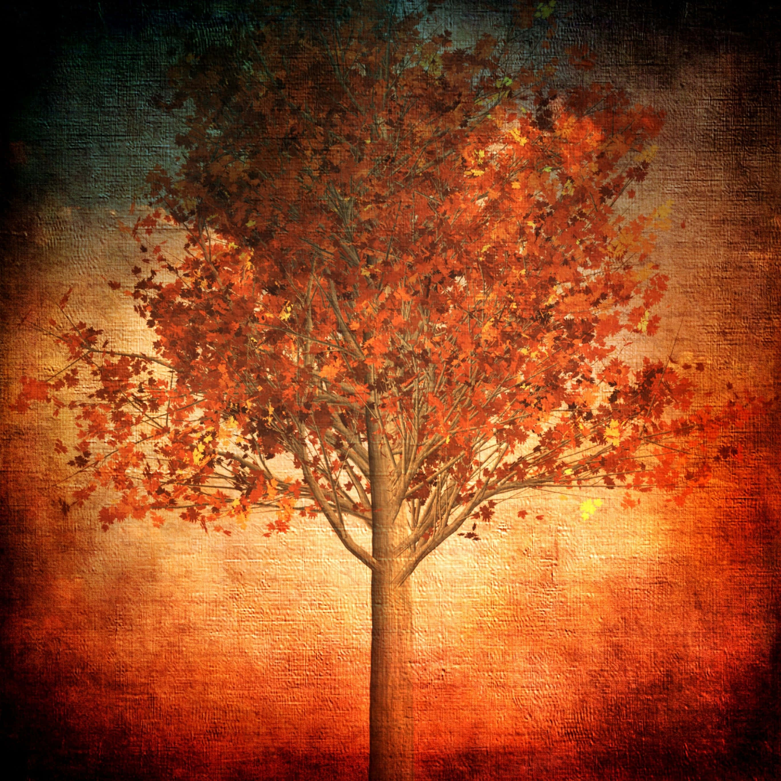 maple tree, fiery orange leaves, textured sunset sky, 2K Desktop Wallpaper